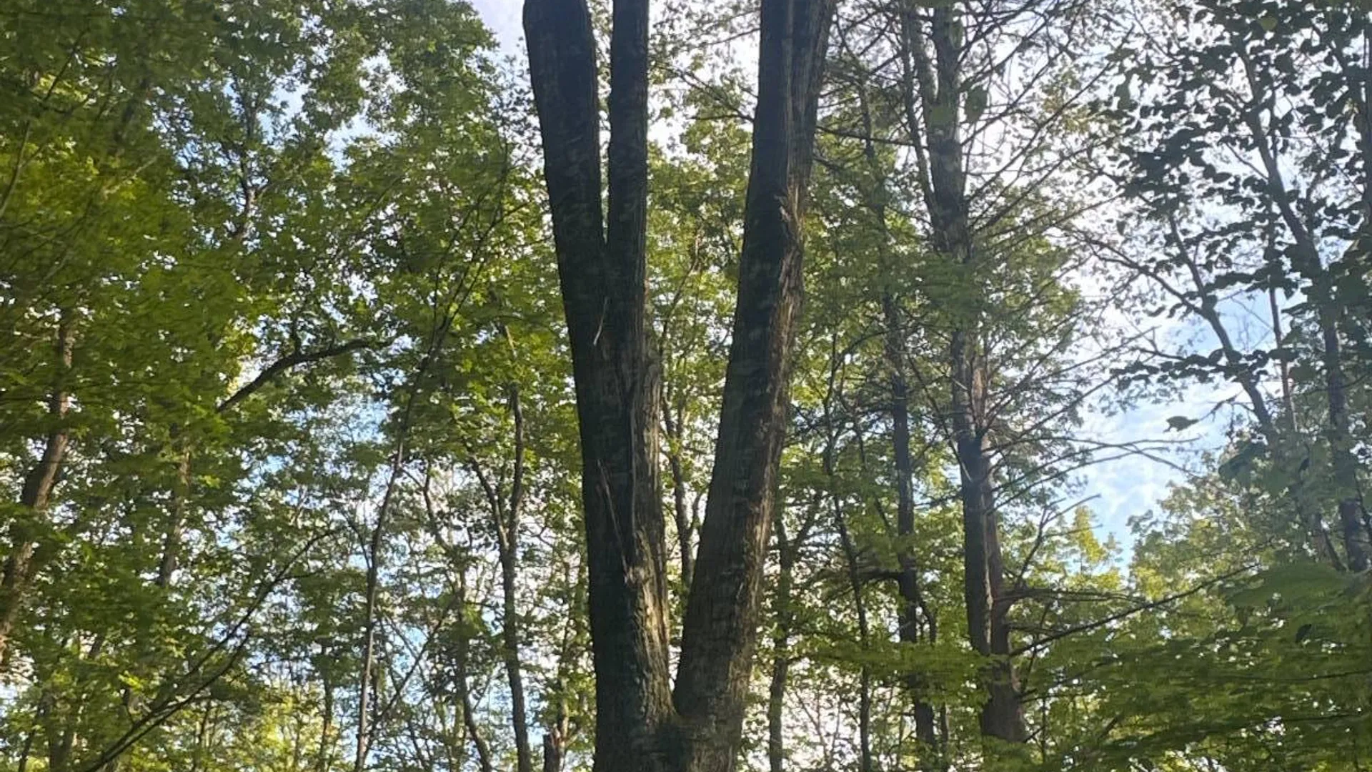 Property at 1WTP Rossway Rd, Pleasant Valley, NY 12569 16