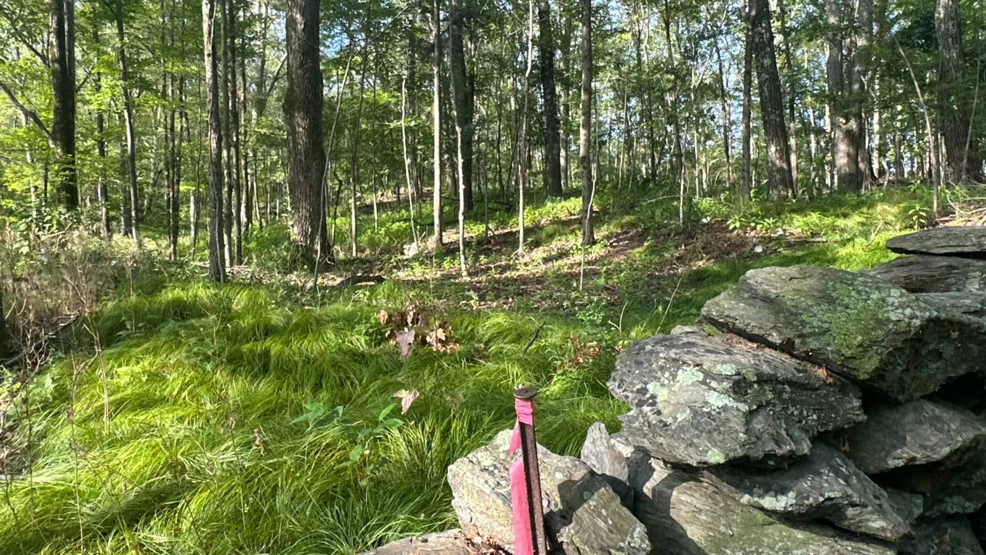 Property at 1WTP Rossway Rd, Pleasant Valley, NY 12569 21