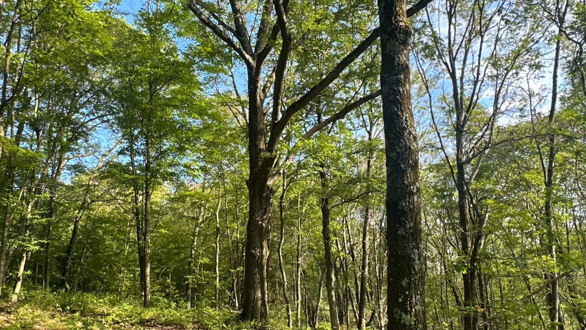 Property at 1WTP Rossway Rd, Pleasant Valley, NY 12569 24