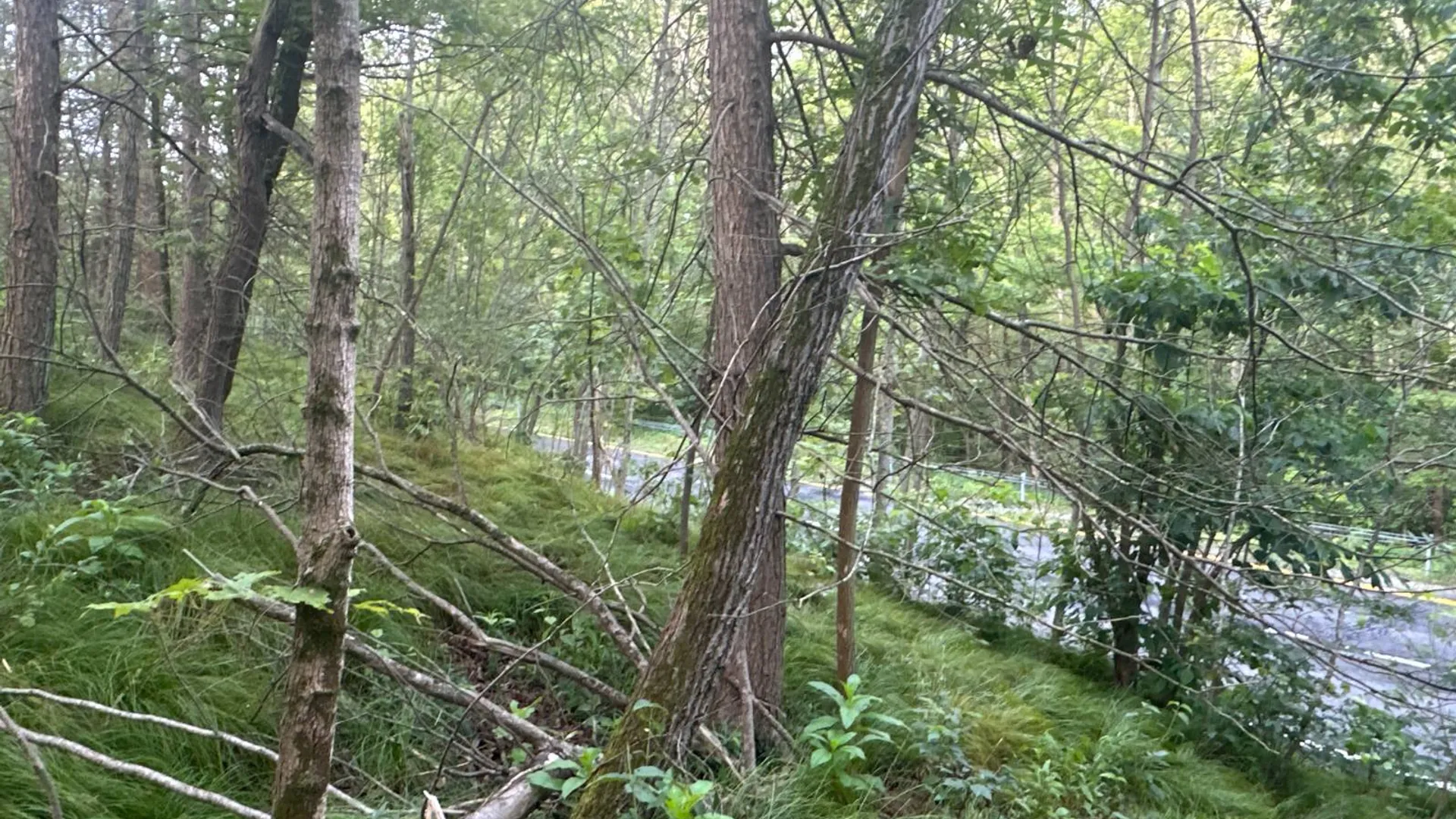 Property at 1WTP Rossway Rd, Pleasant Valley, NY 12569 25