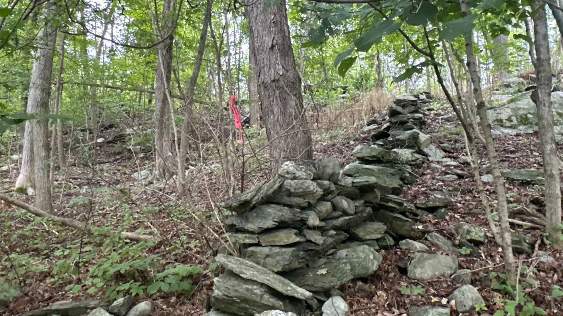 Property at 1WTP Rossway Rd, Pleasant Valley, NY 12569 3