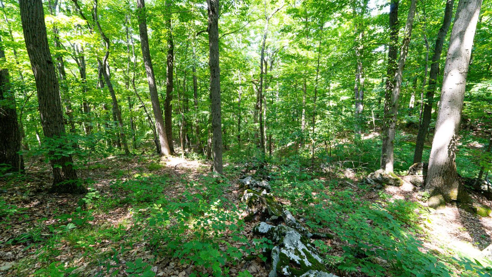 Property at 1WTP Rossway Rd, Pleasant Valley, NY 12569 33