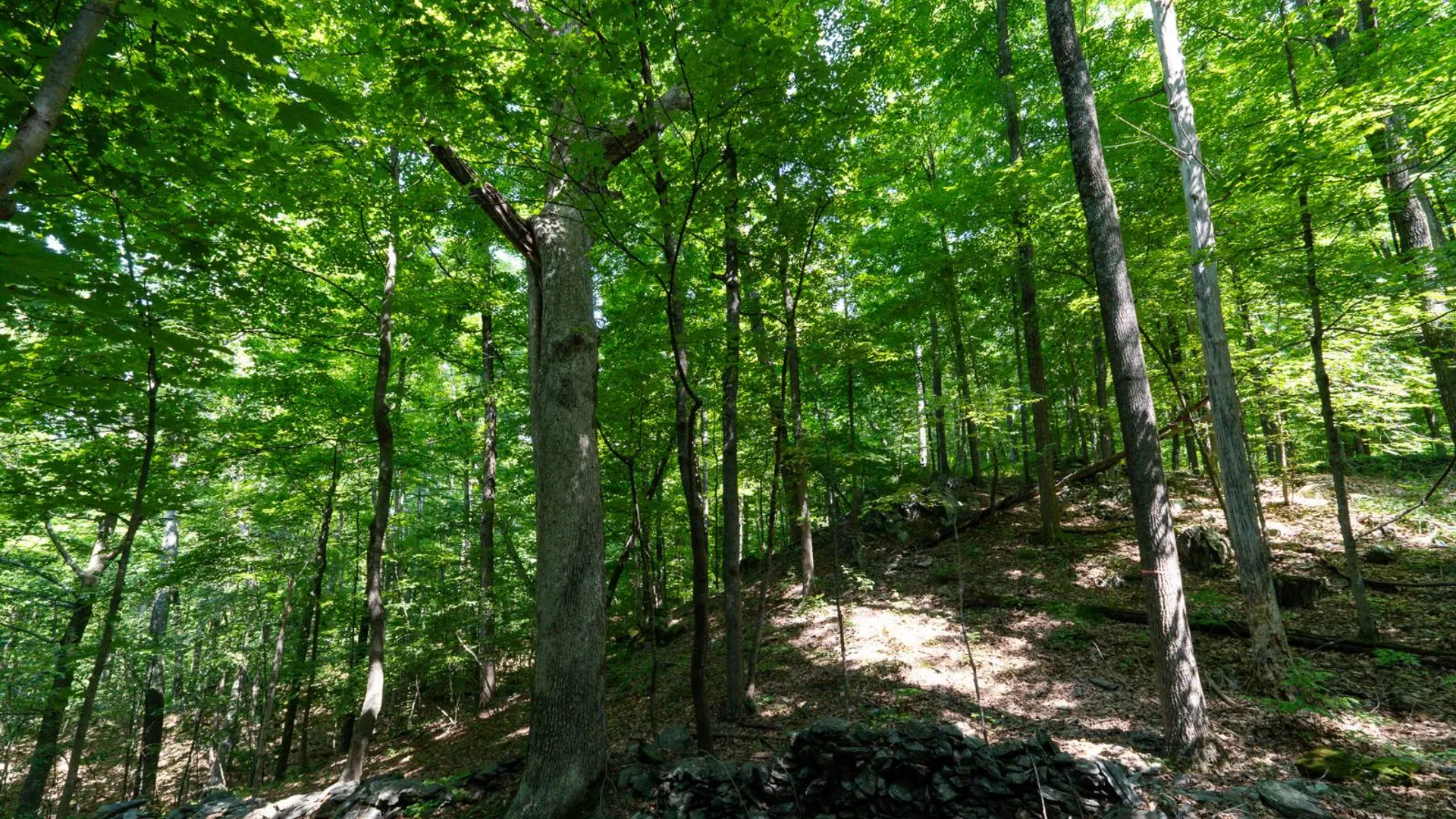 Property at 1WTP Rossway Rd, Pleasant Valley, NY 12569 35