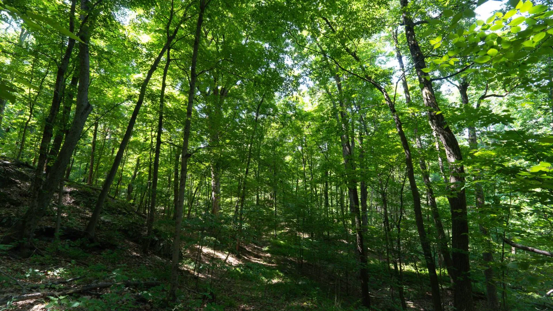 Property at 1WTP Rossway Rd, Pleasant Valley, NY 12569 37