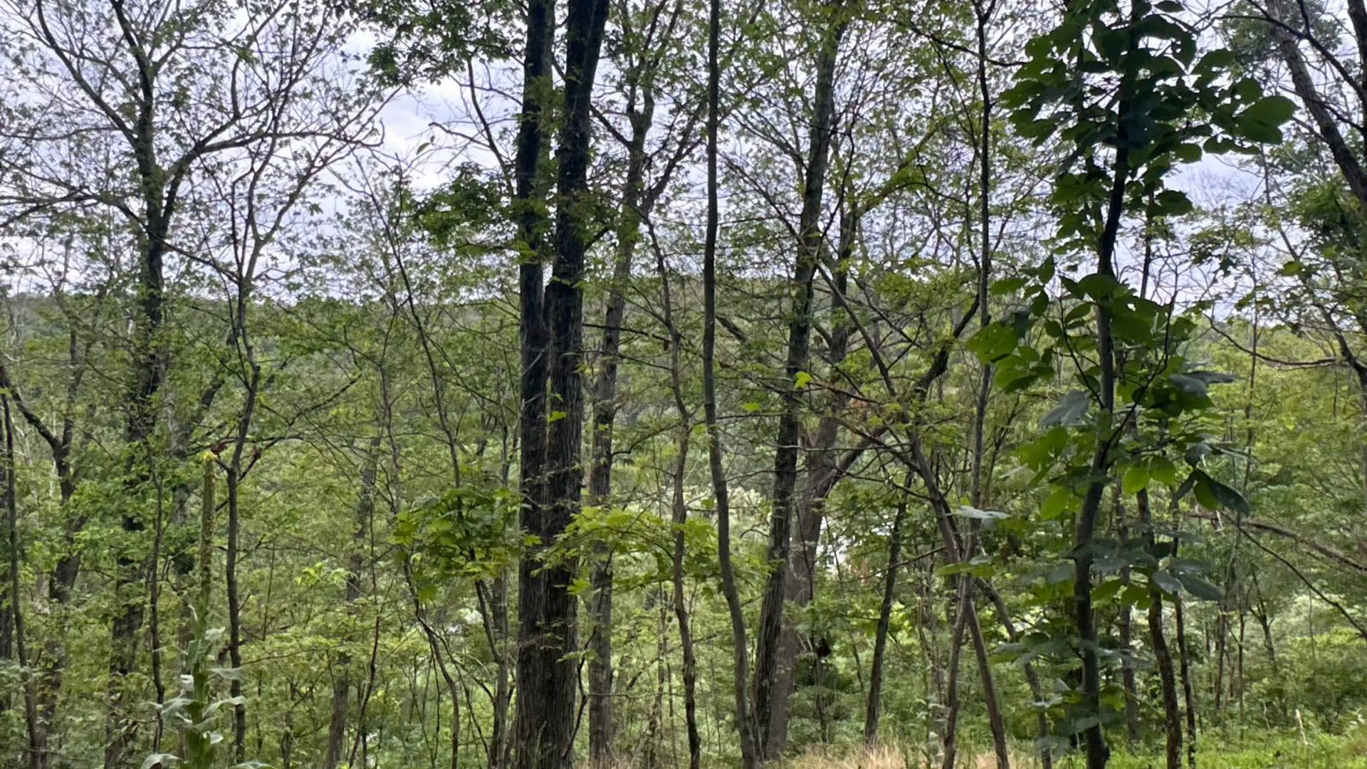Property at 1WTP Rossway Rd, Pleasant Valley, NY 12569 4