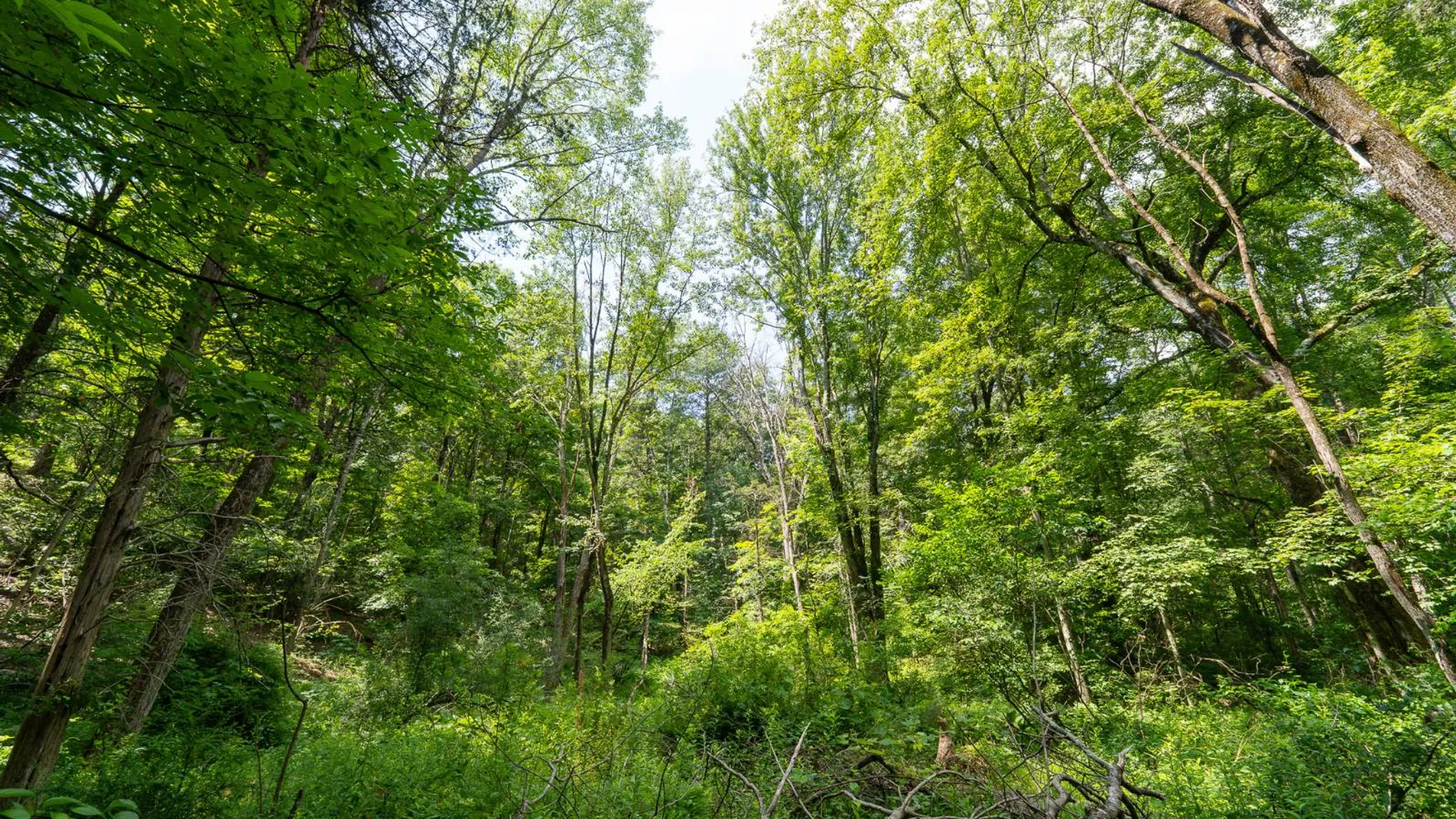 Property at 1WTP Rossway Rd, Pleasant Valley, NY 12569 45