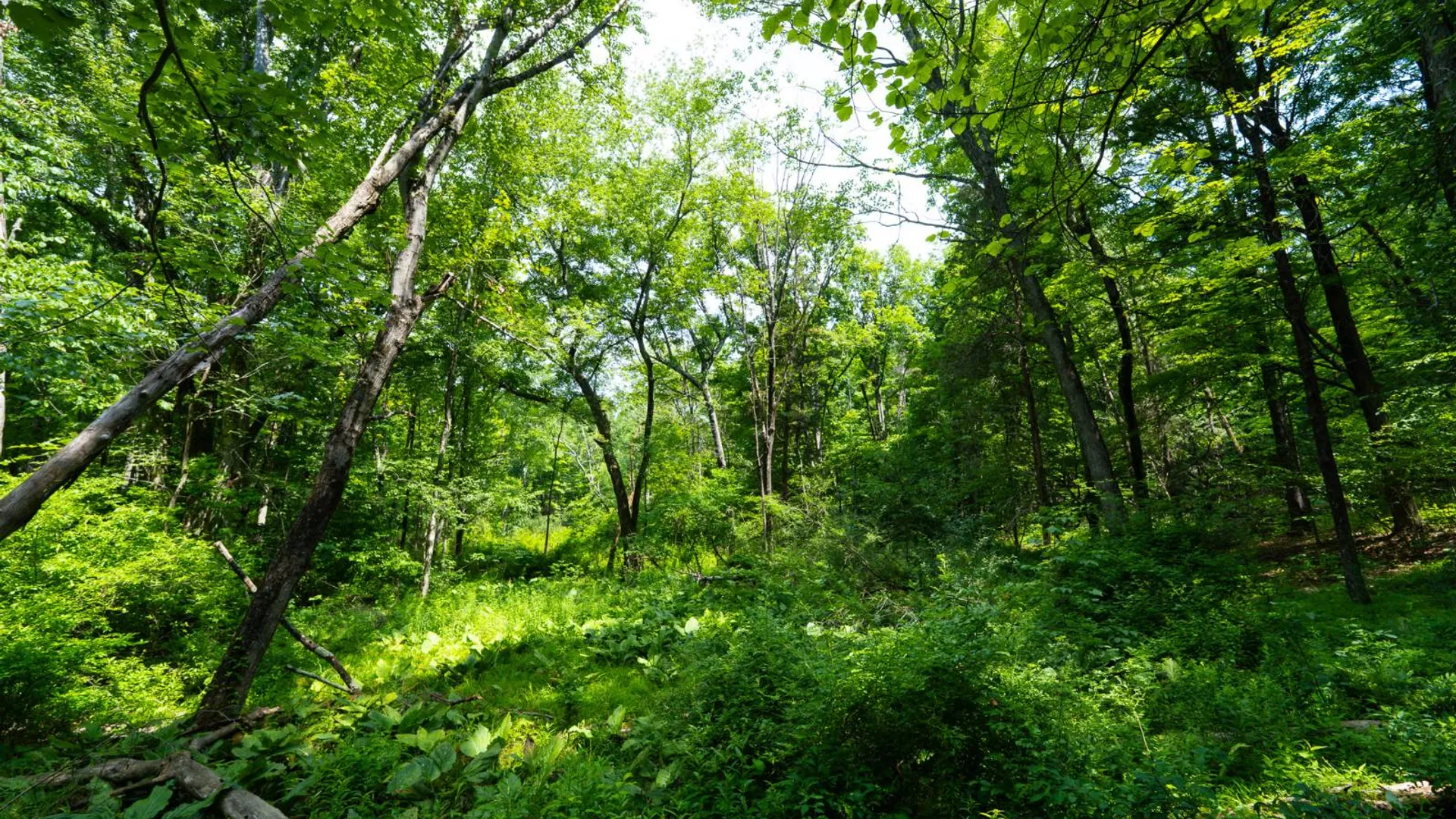 Property at 1WTP Rossway Rd, Pleasant Valley, NY 12569 46