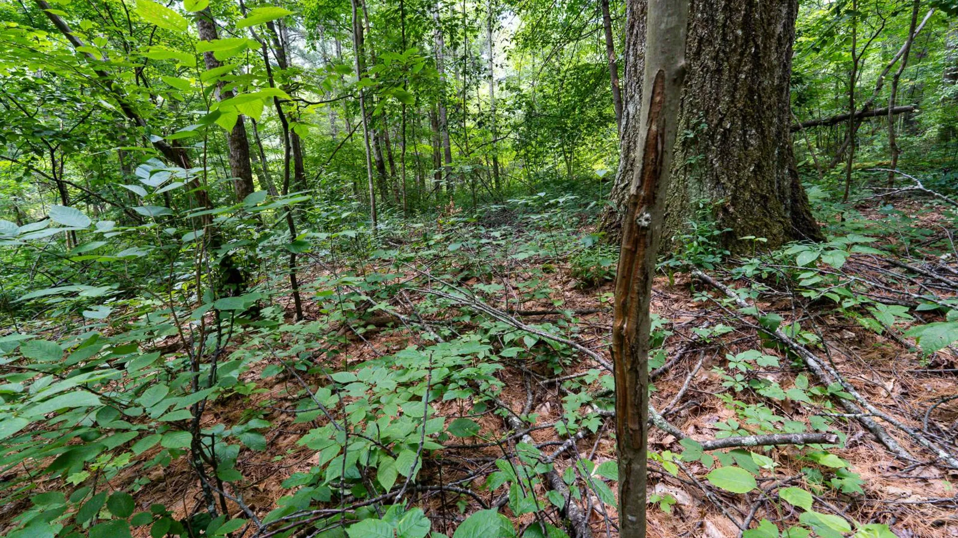 Property at 1WTP Rossway Rd, Pleasant Valley, NY 12569 48