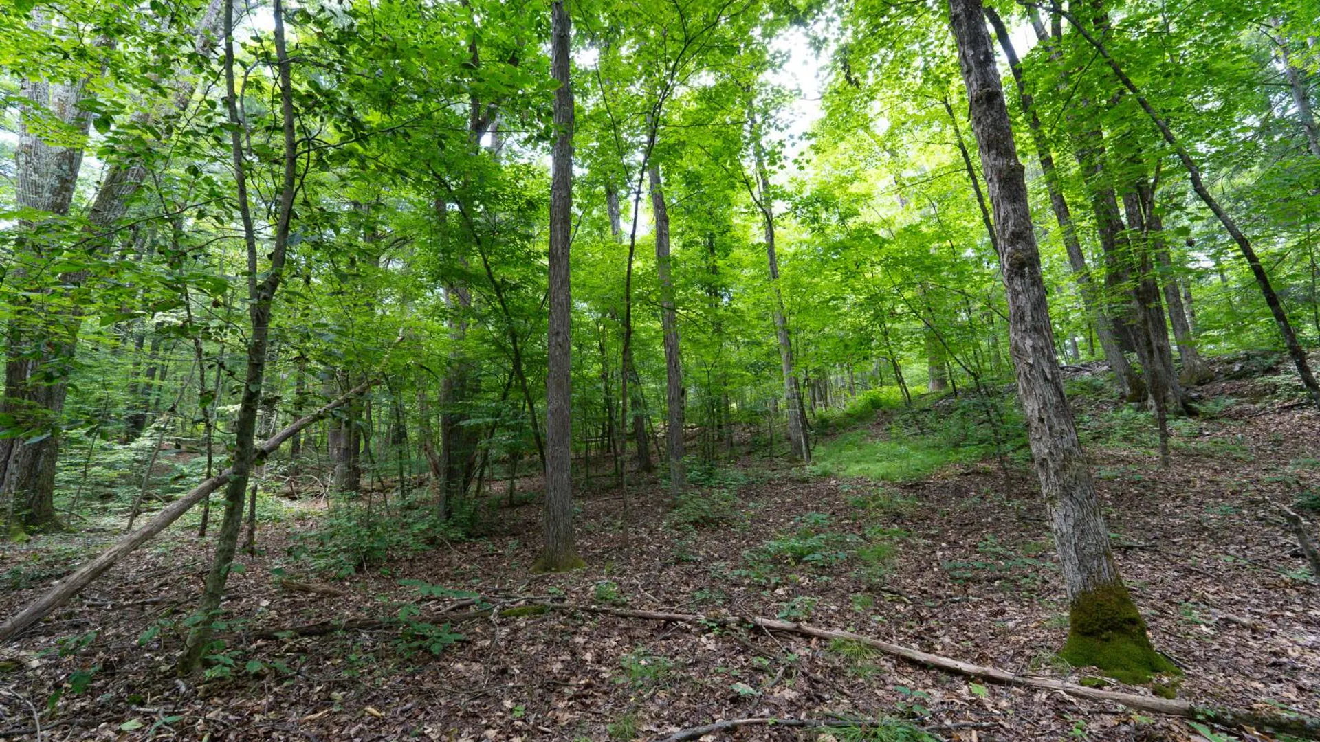 Property at 1WTP Rossway Rd, Pleasant Valley, NY 12569 50