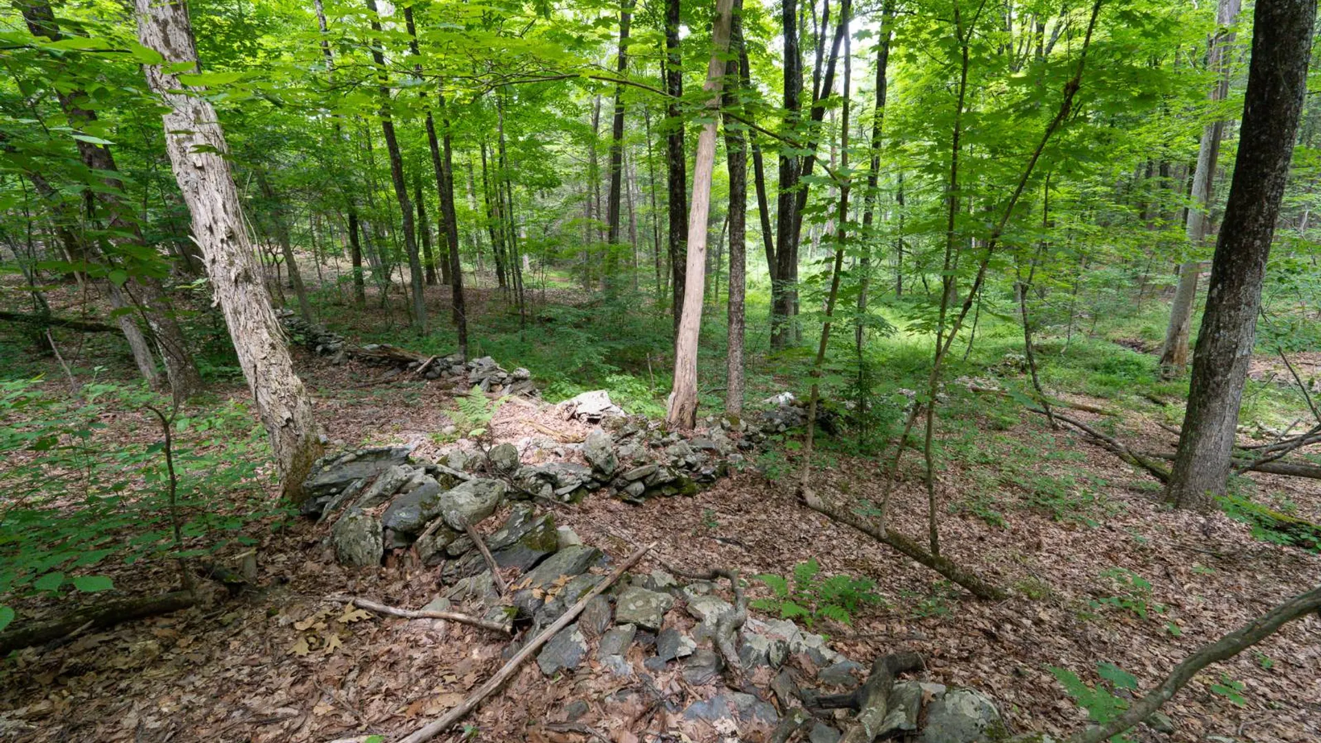 Property at 1WTP Rossway Rd, Pleasant Valley, NY 12569 51