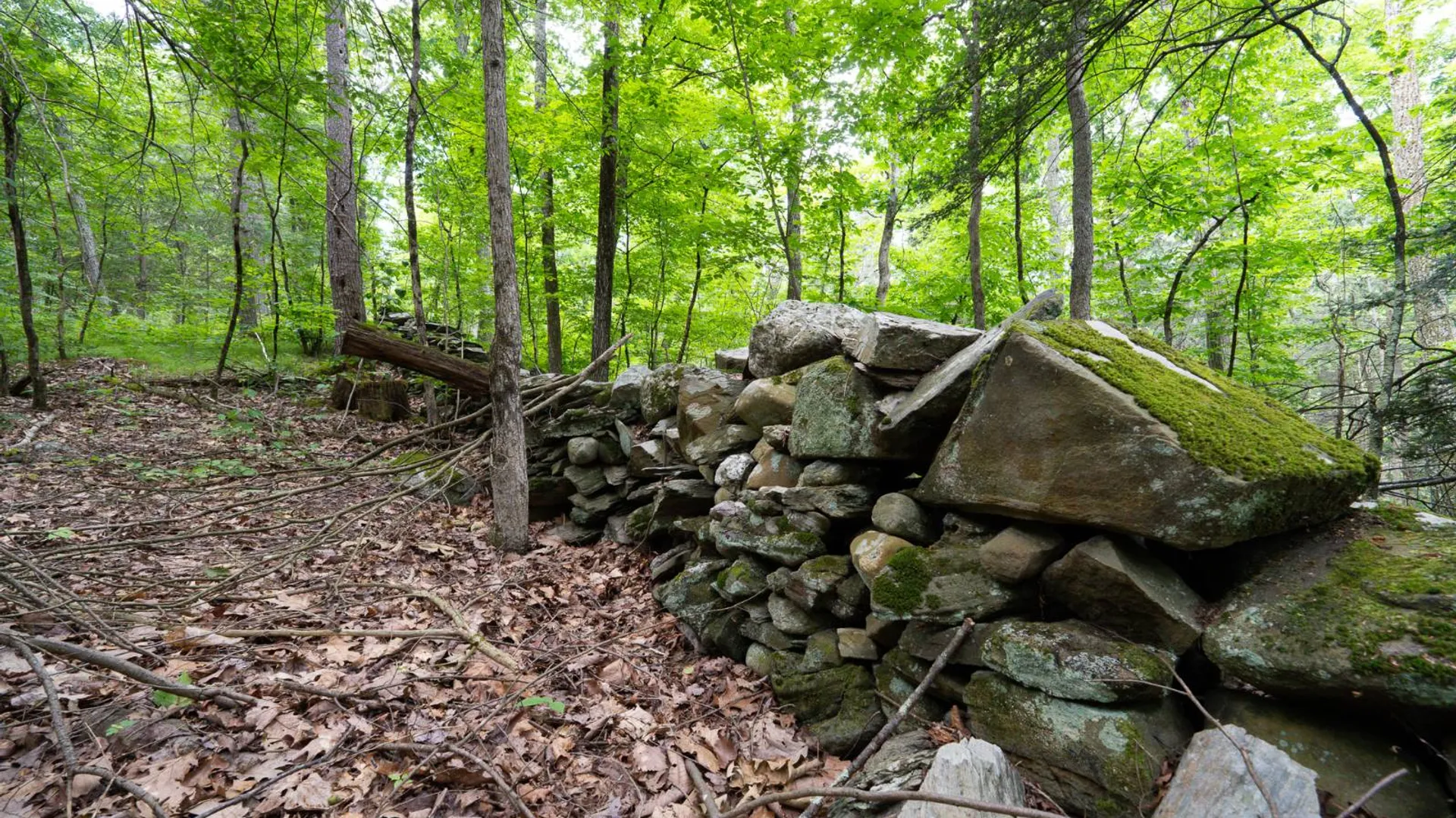 Property at 1WTP Rossway Rd, Pleasant Valley, NY 12569 53