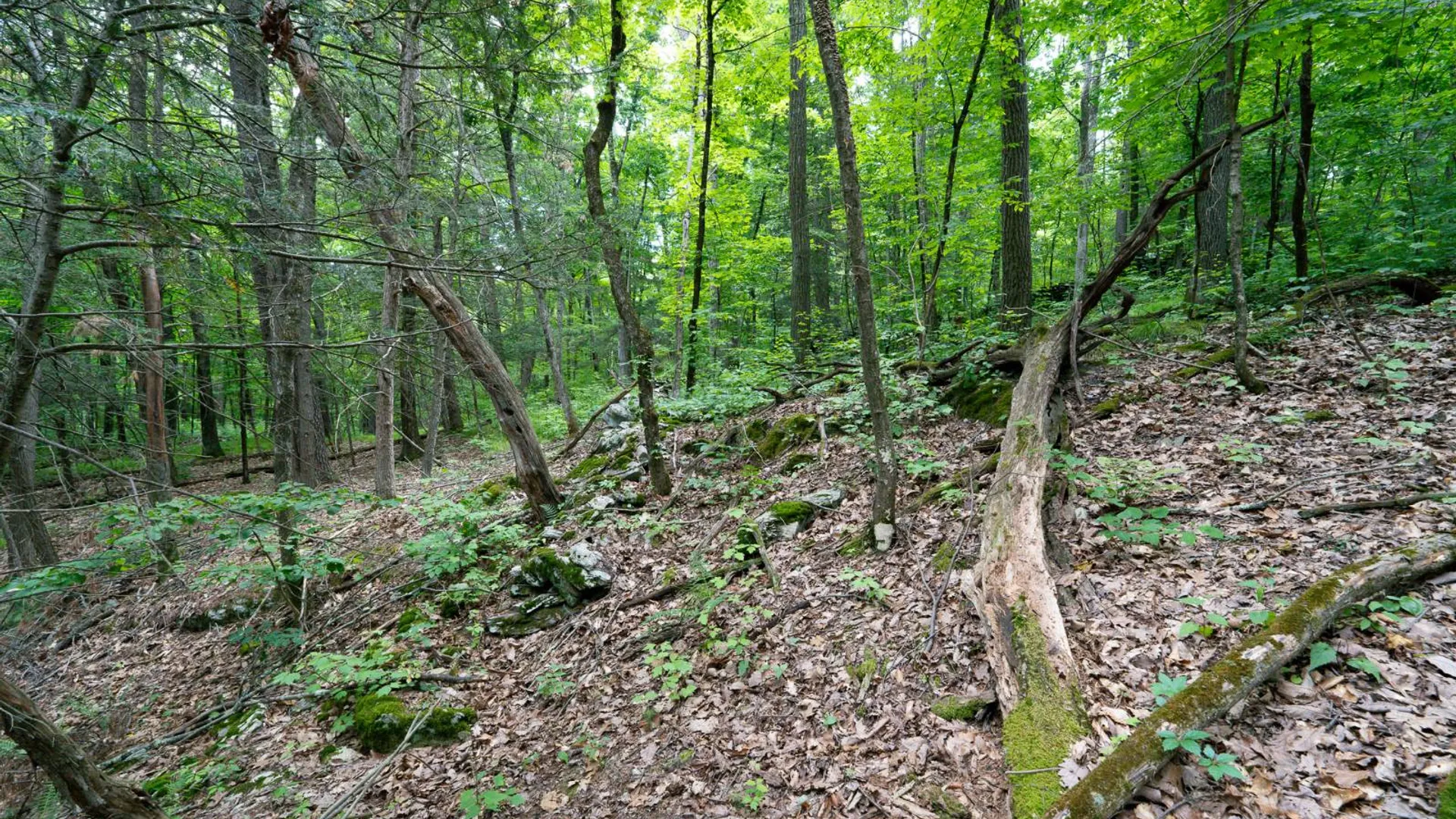 Property at 1WTP Rossway Rd, Pleasant Valley, NY 12569 55