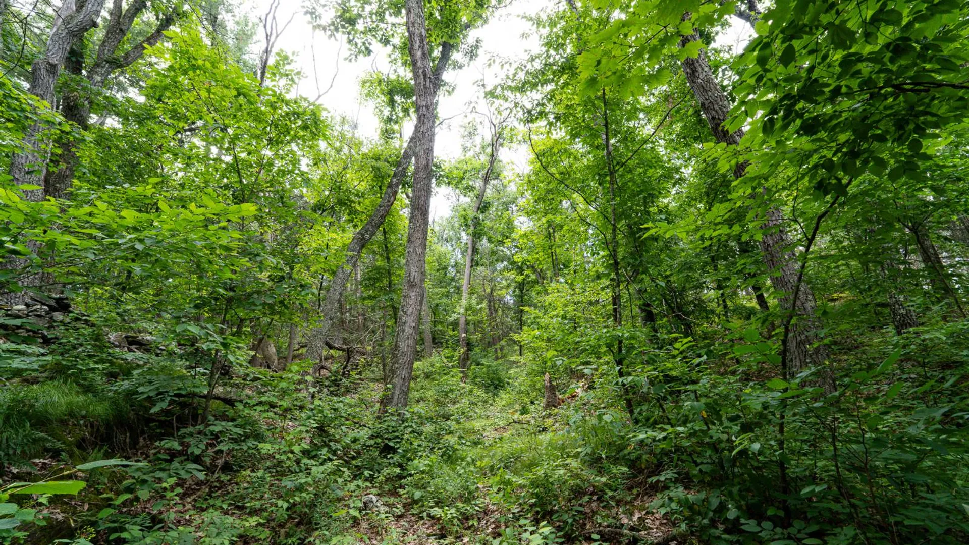 Property at 1WTP Rossway Rd, Pleasant Valley, NY 12569 56