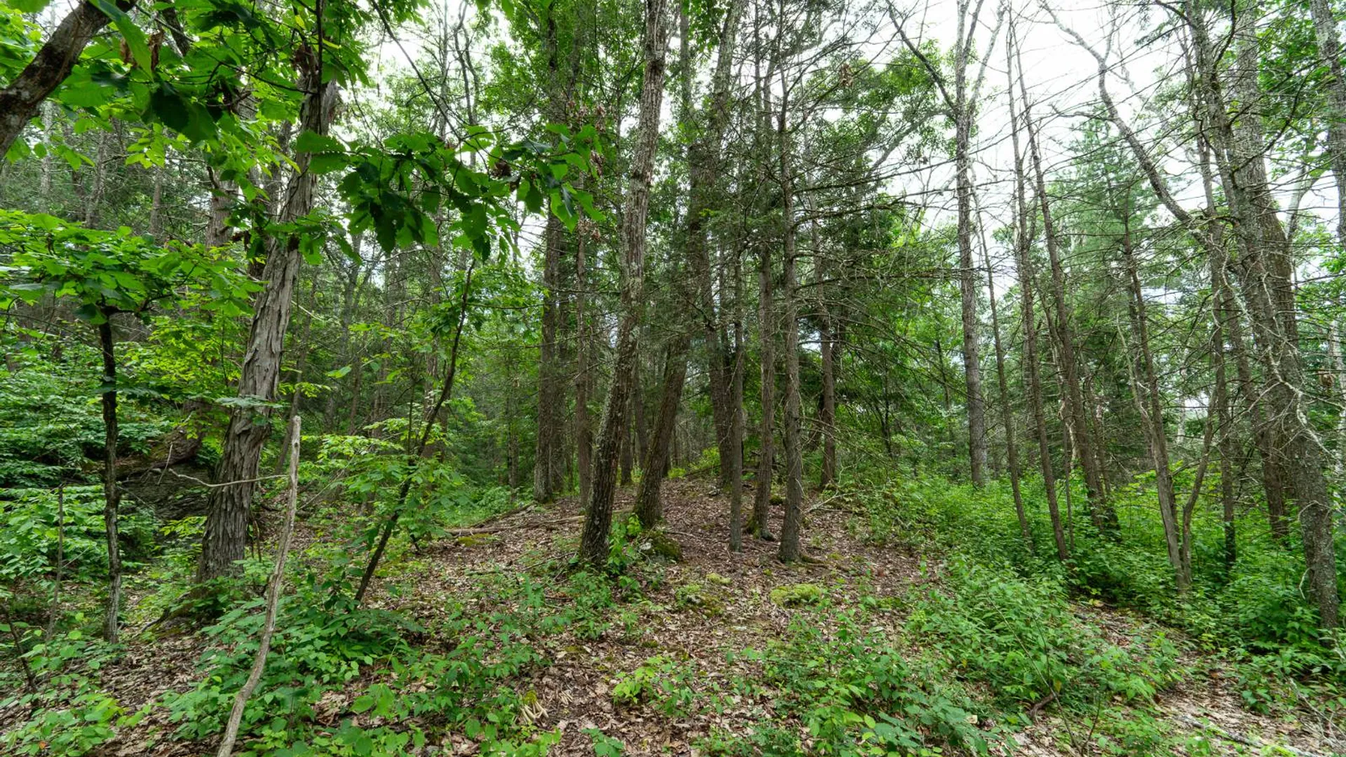 Property at 1WTP Rossway Rd, Pleasant Valley, NY 12569 61