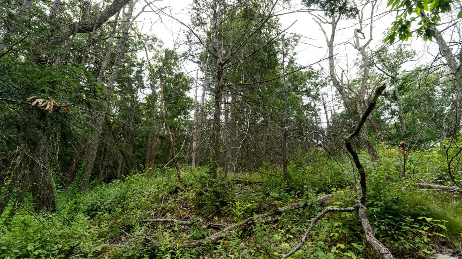 Property at 1WTP Rossway Rd, Pleasant Valley, NY 12569 63