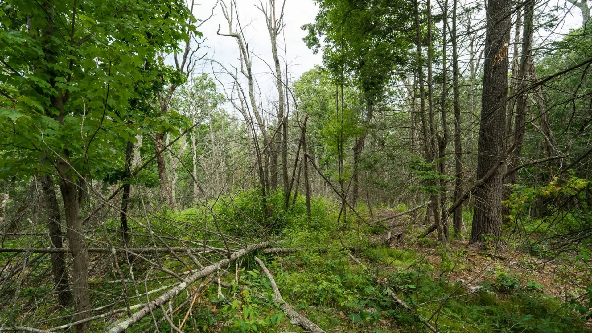 Property at 1WTP Rossway Rd, Pleasant Valley, NY 12569 64