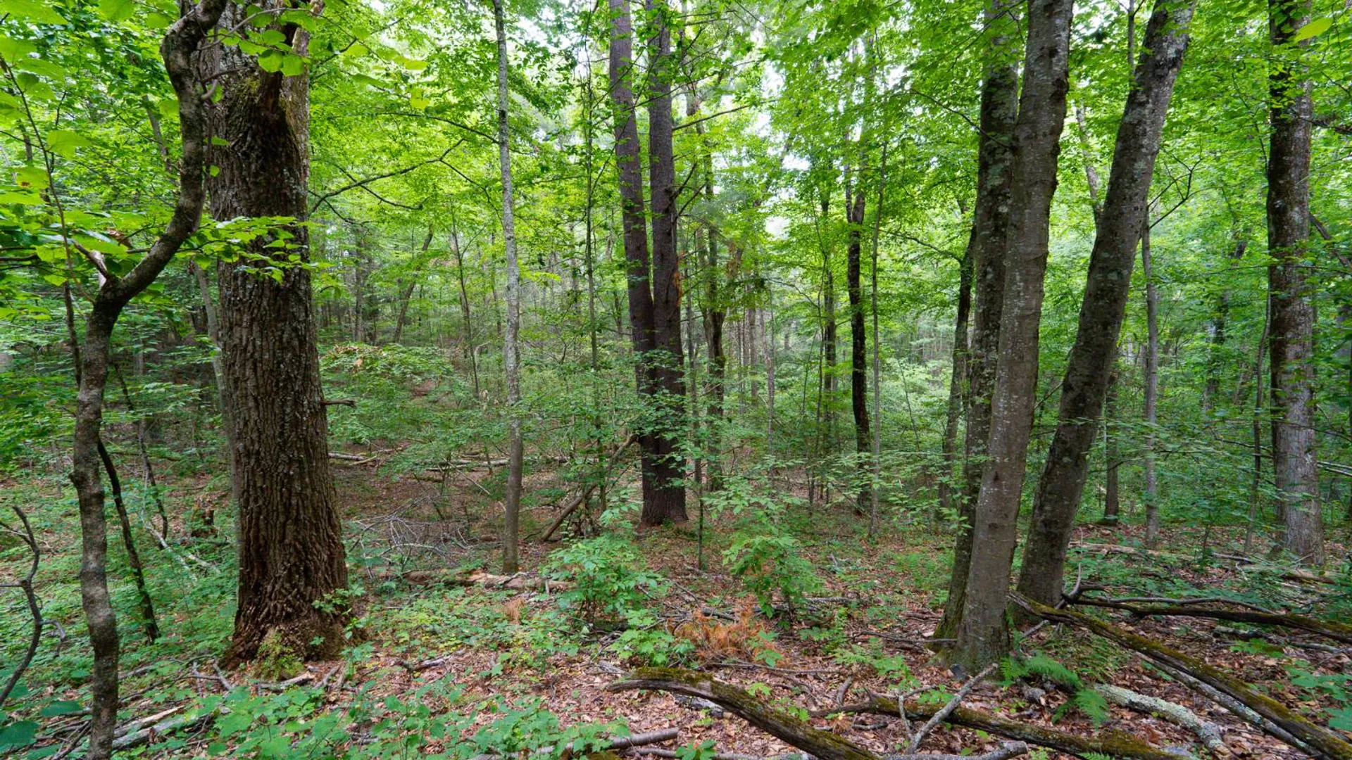 Property at 1WTP Rossway Rd, Pleasant Valley, NY 12569 67