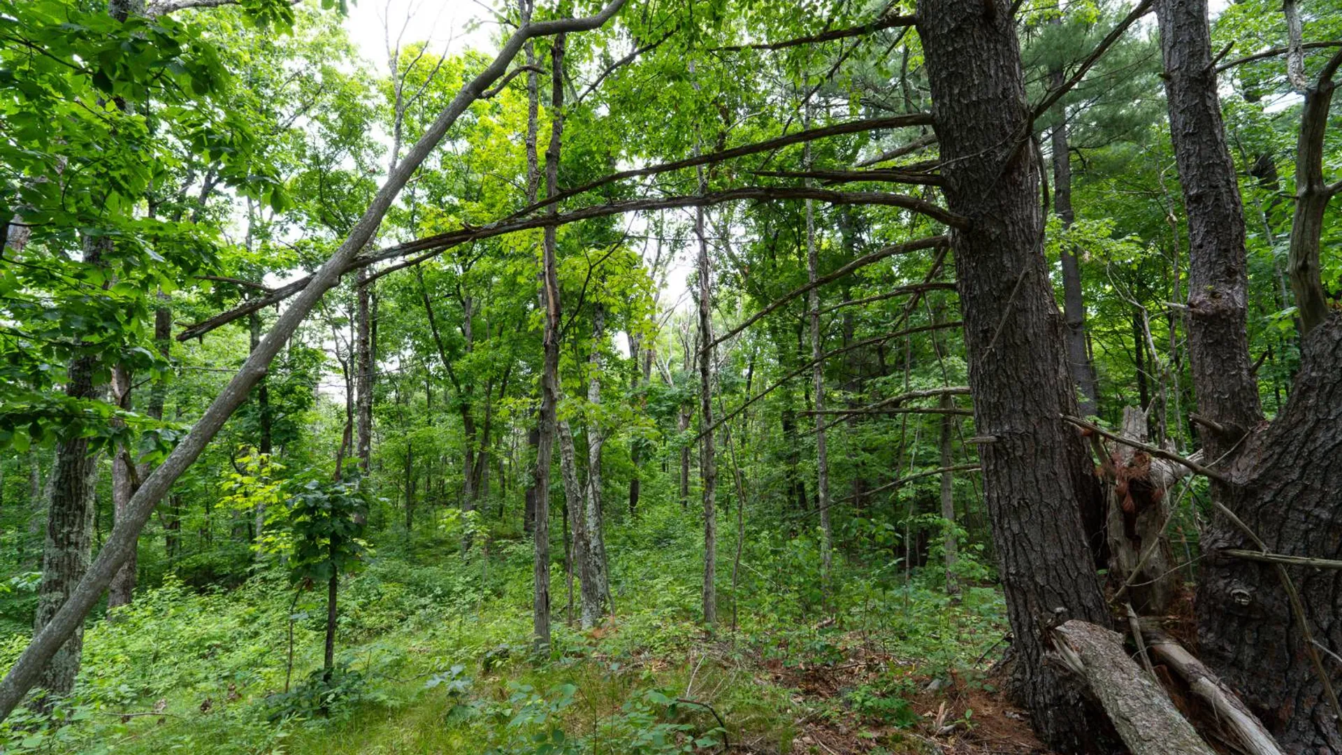 Property at 1WTP Rossway Rd, Pleasant Valley, NY 12569 68