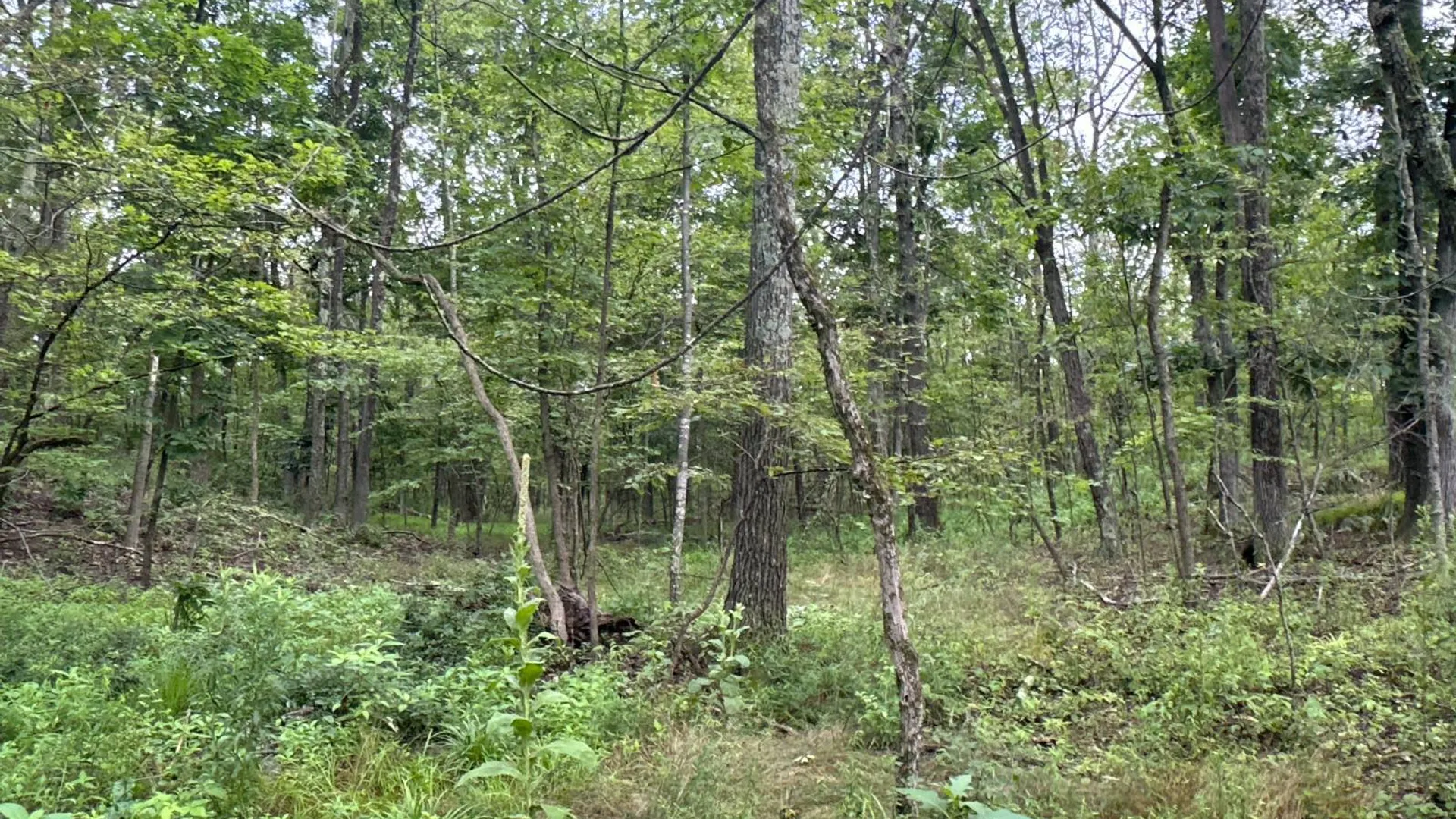 Property at 1WTP Rossway Rd, Pleasant Valley, NY 12569 8