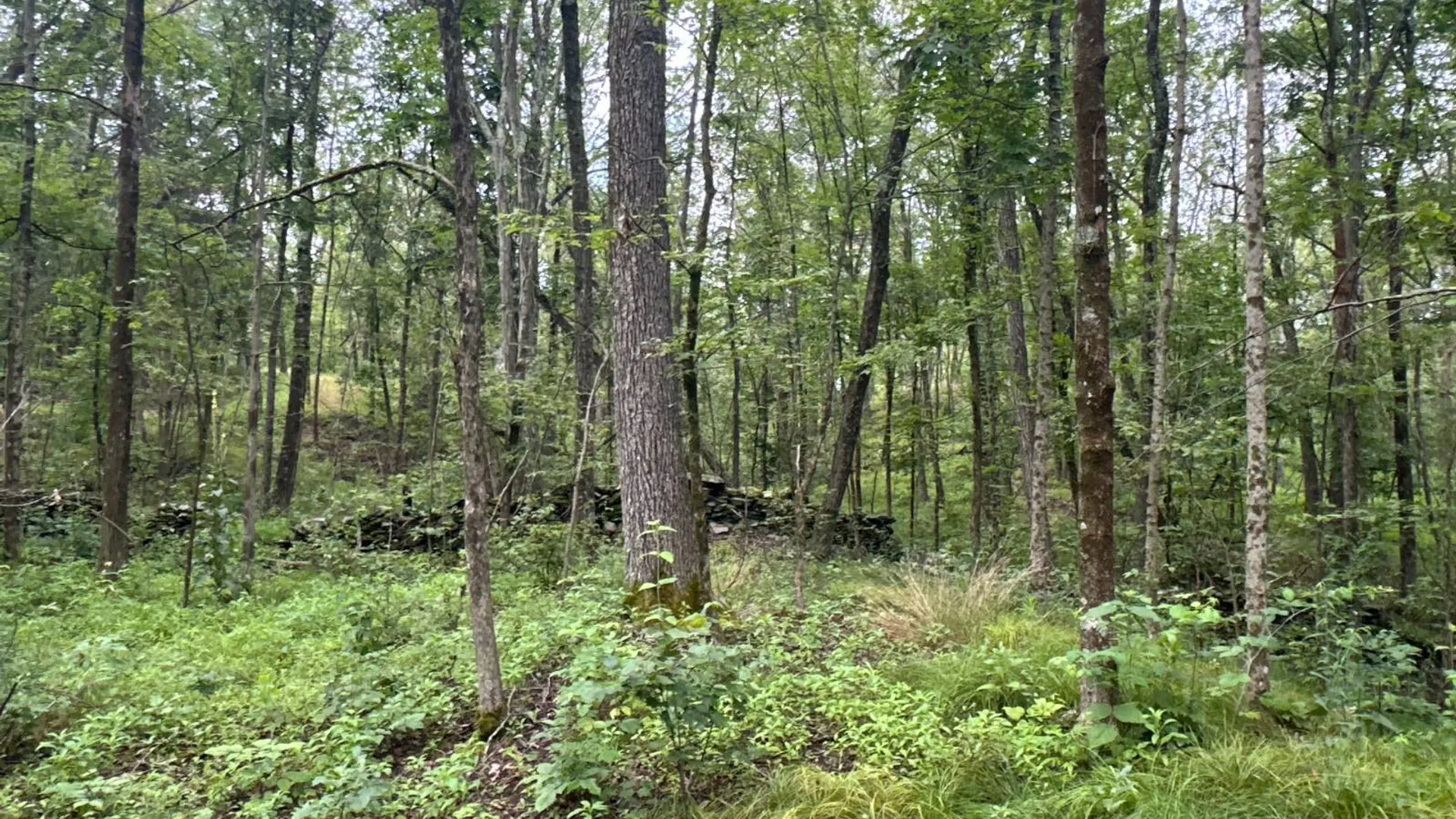 Property at 1WTP Rossway Rd, Pleasant Valley, NY 12569 9