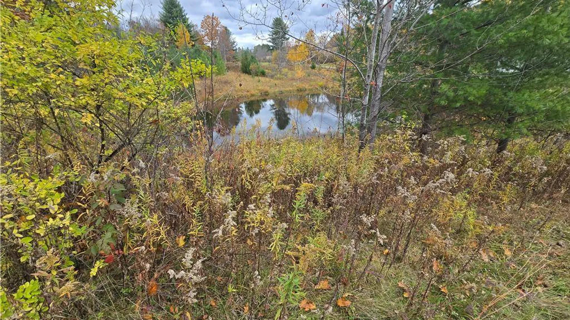 Property at 0 Hardknocks Rd, Unadilla, NY 13849 11