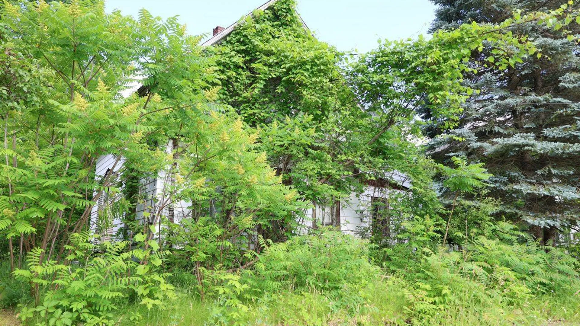 Property at 33 S Pearl St, Malone, NY 12953 2
