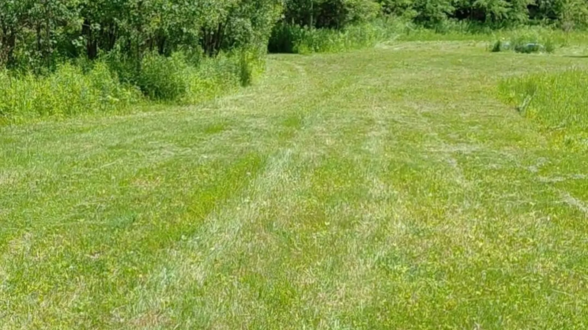 Property at 10269 Evans Rd, 13438, NY 13438 12