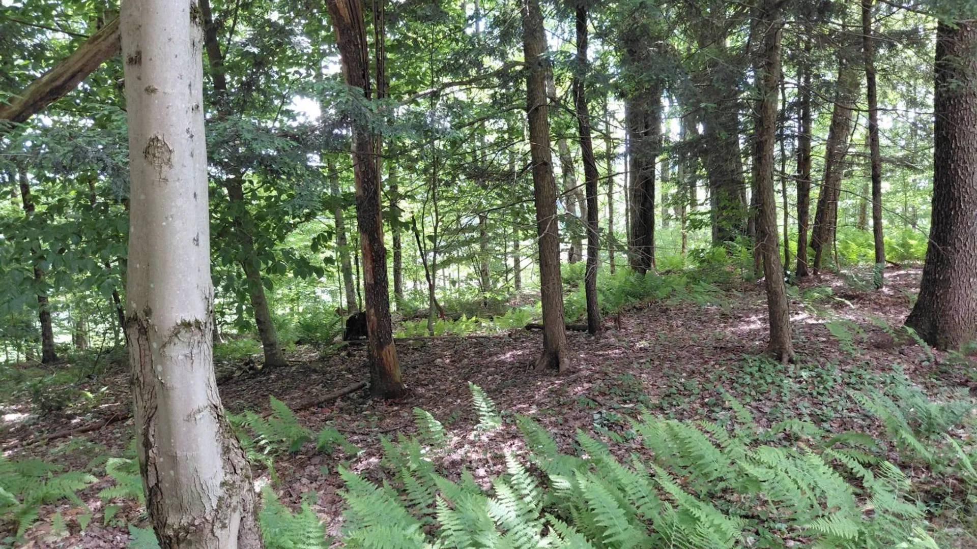 Property at 10269 Evans Rd, 13438, NY 13438 7