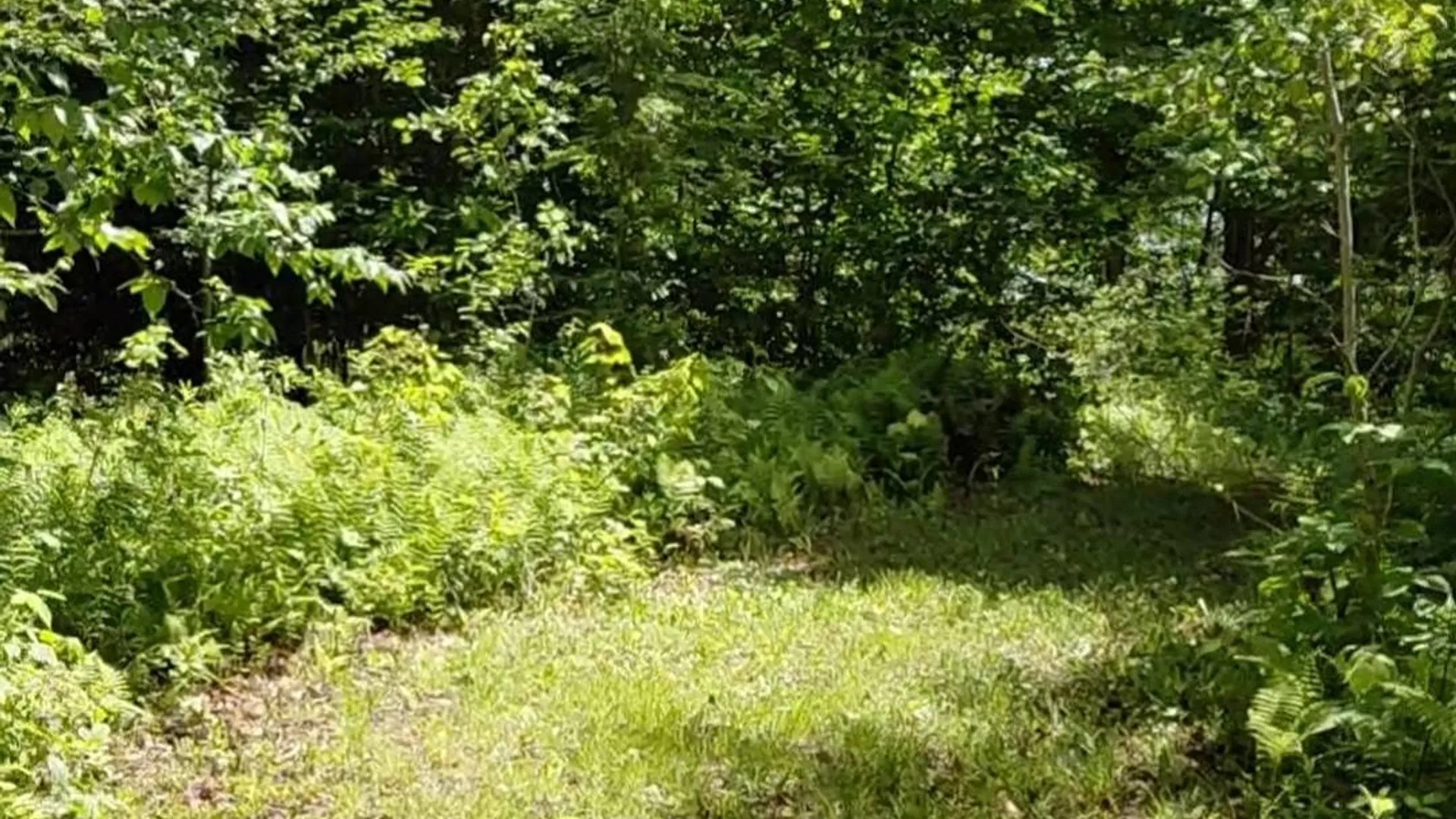Property at 10269 Evans Rd, 13438, NY 13438 9
