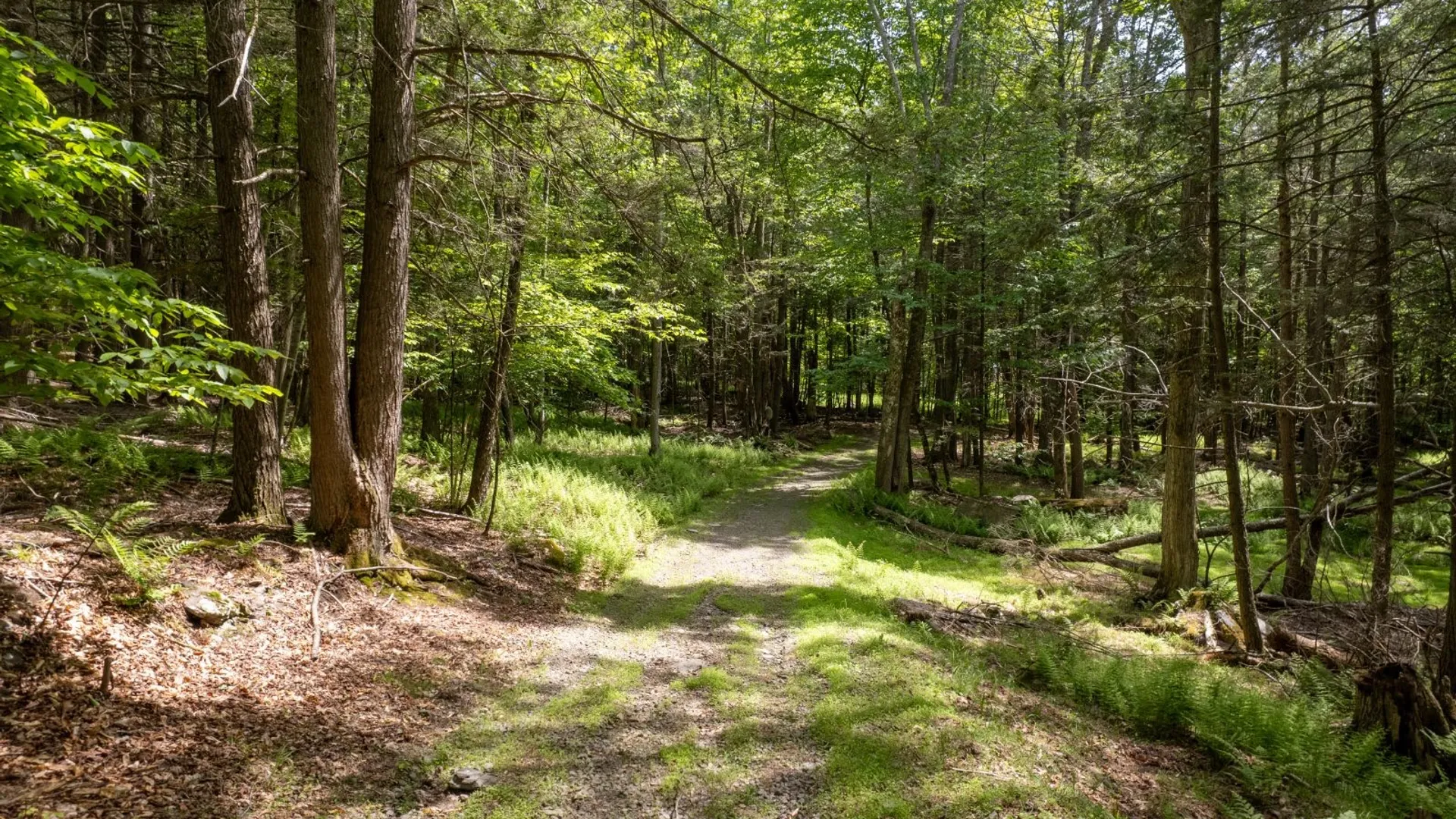 Property at 255 Hammer Hollow Road, Downsville, NY 13755 20