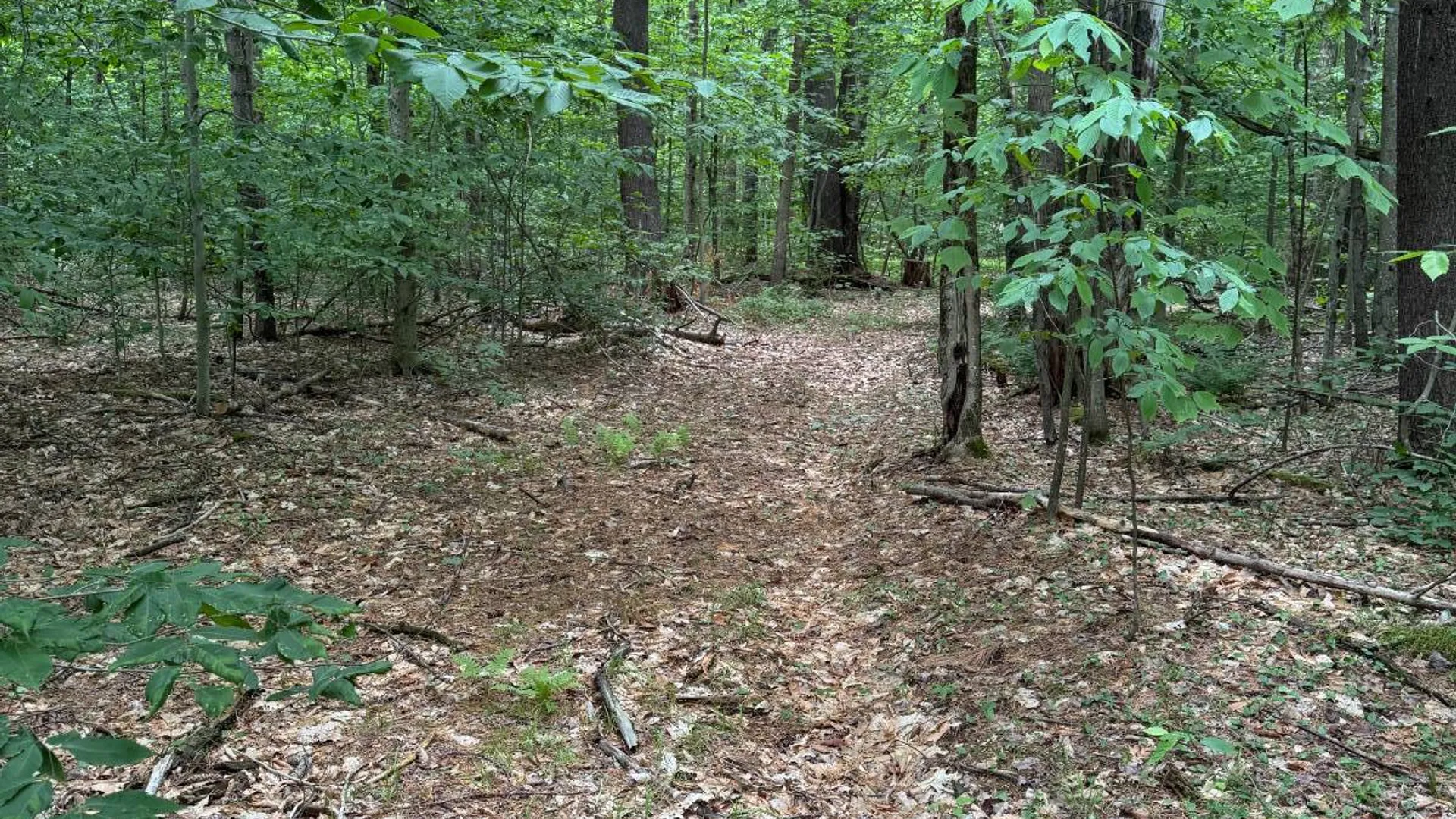 Property at 940 Iron Kettle Road, Maryland, NY 12116 3