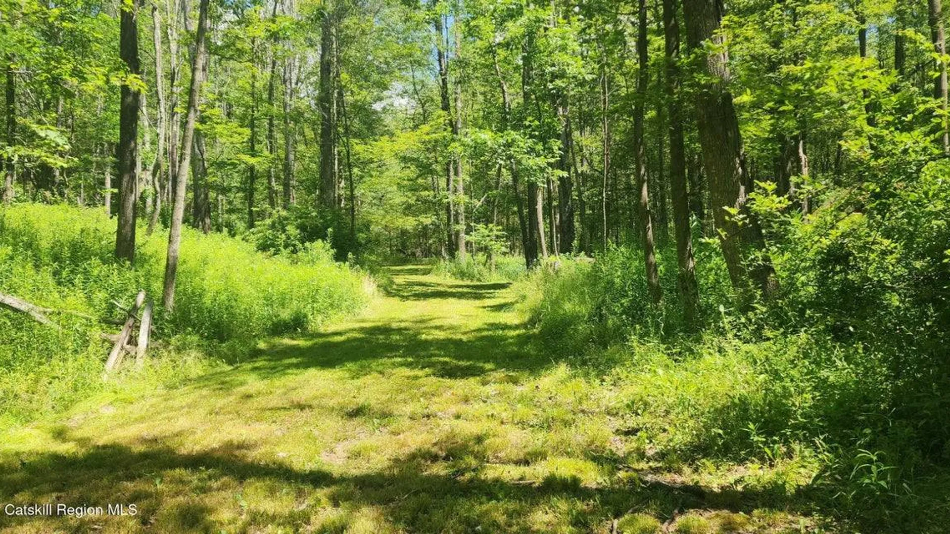 Property at 12172 Rt. 23, Ashland, NY 12407 2