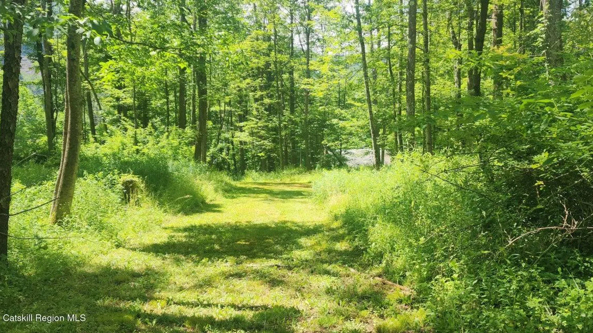 Property at 12172 Rt. 23, Ashland, NY 12407 25