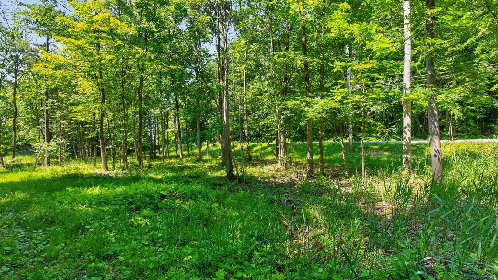 Property at State Route 9L, Queensbury, NY 12801 3
