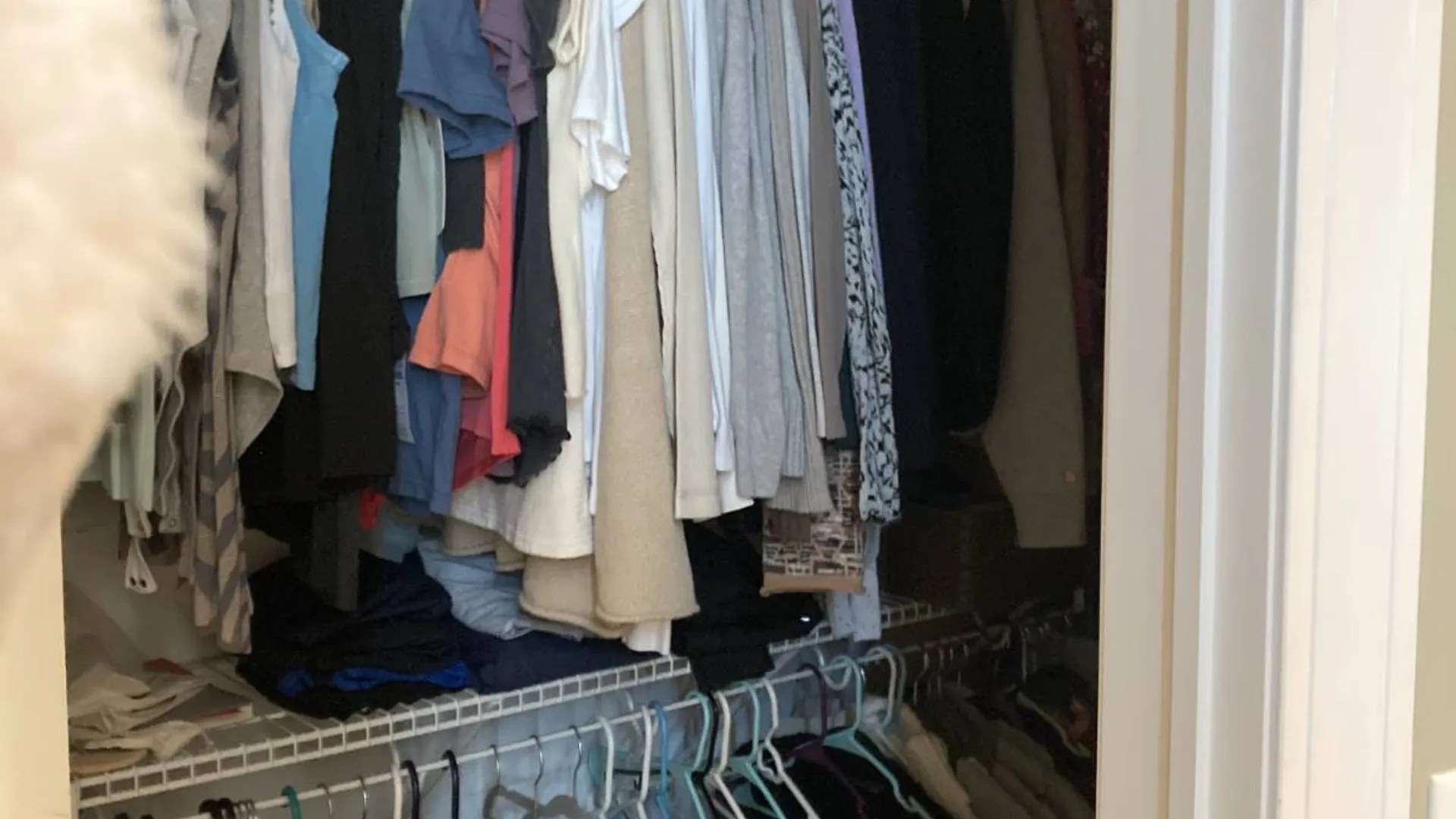 Property at 4-6 Sheridan Ave, Albany, NY 12207 3