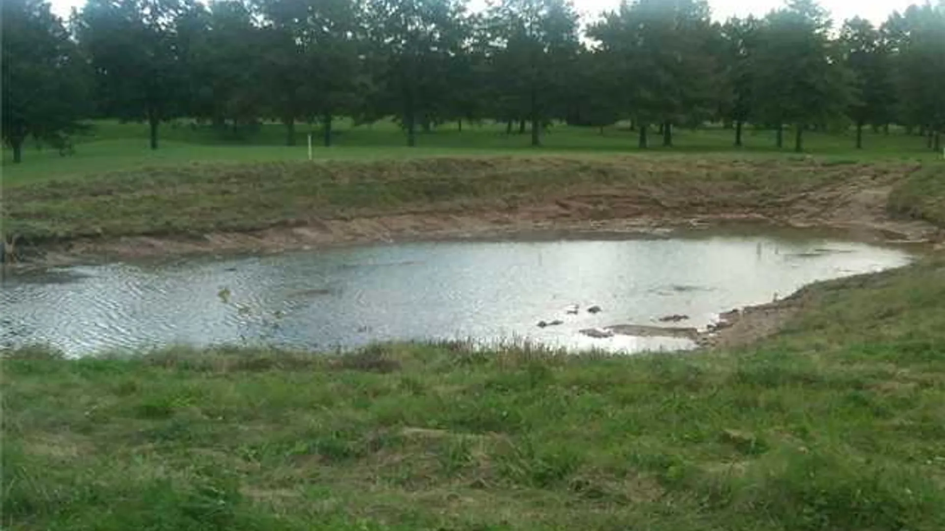 Property at 7631 Fairway Drive, Sodus, NY 14551 10