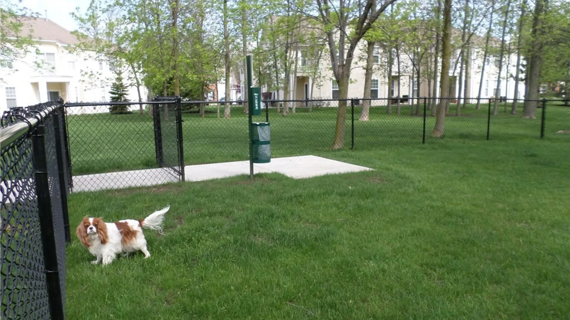 Property at 10 Arielle Court, Amherst, NY 14221 27