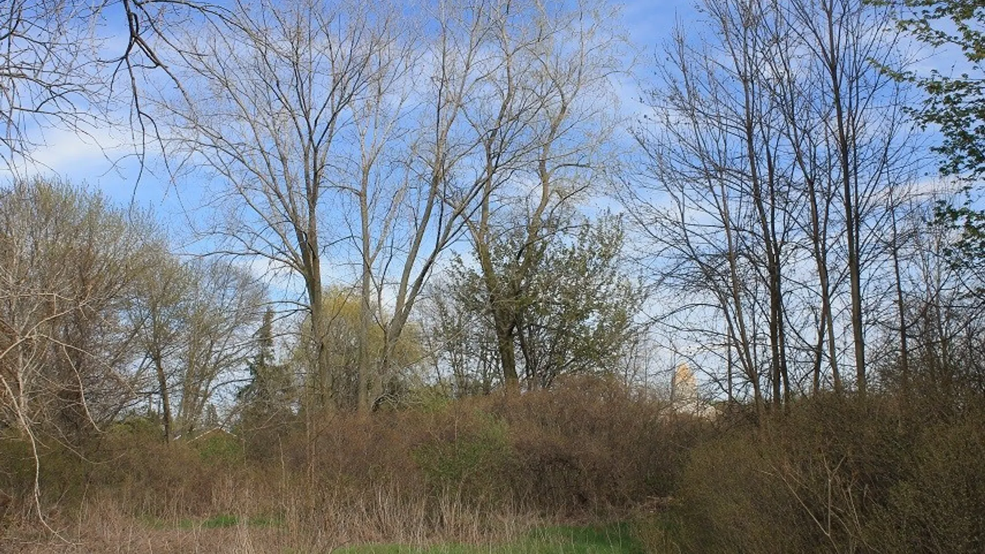 Property at 7121 Rochester Road, Lockport Town, NY 14094 10