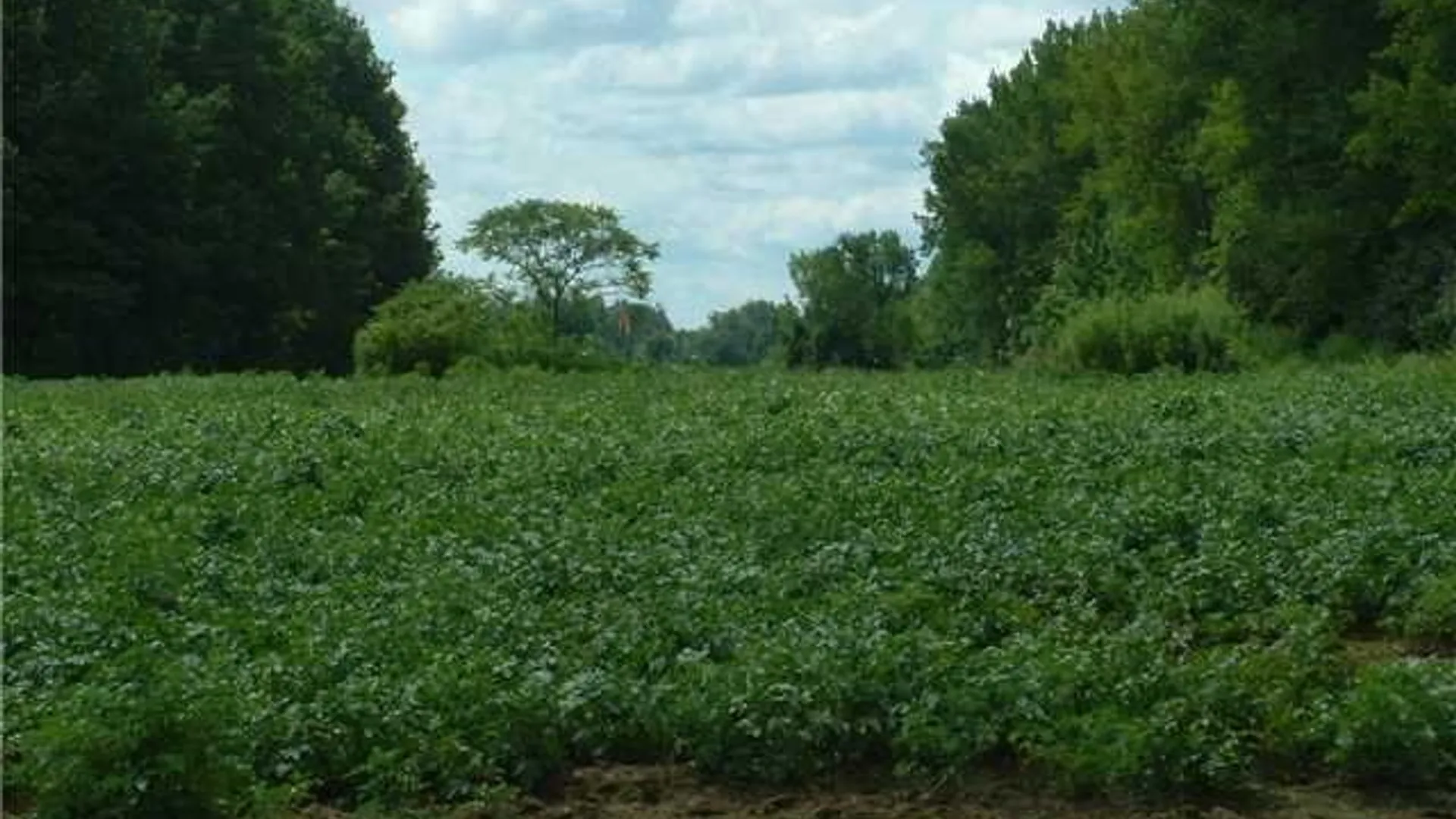 Property at 8575 Henry Clay Boulevard, Clay, NY 13041 11