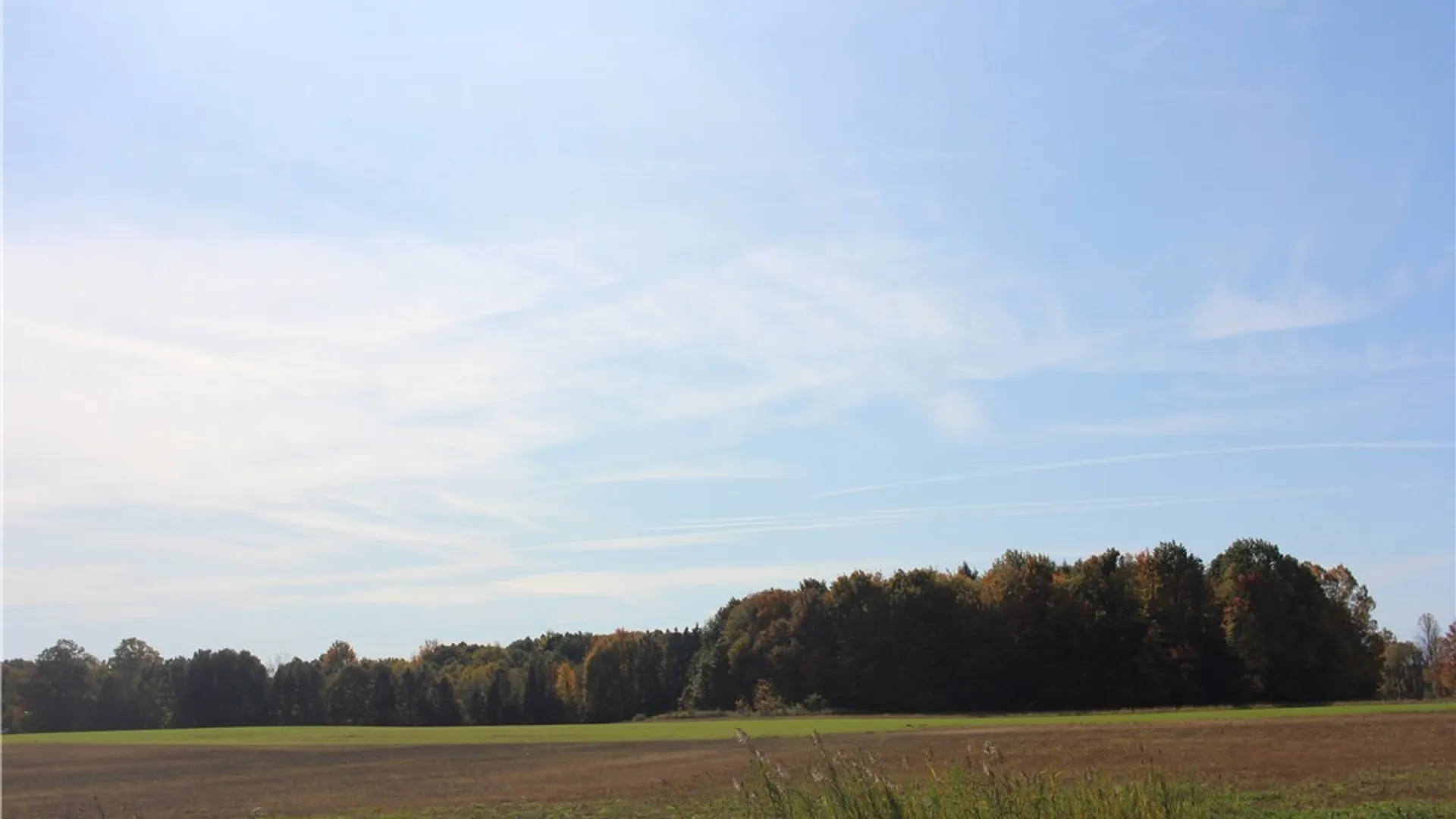 Property at 8575 Henry Clay Boulevard, Clay, NY 13041 18