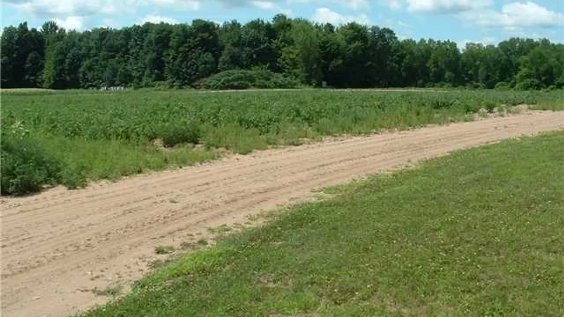 Property at 8575 Henry Clay Boulevard, Clay, NY 13041 6