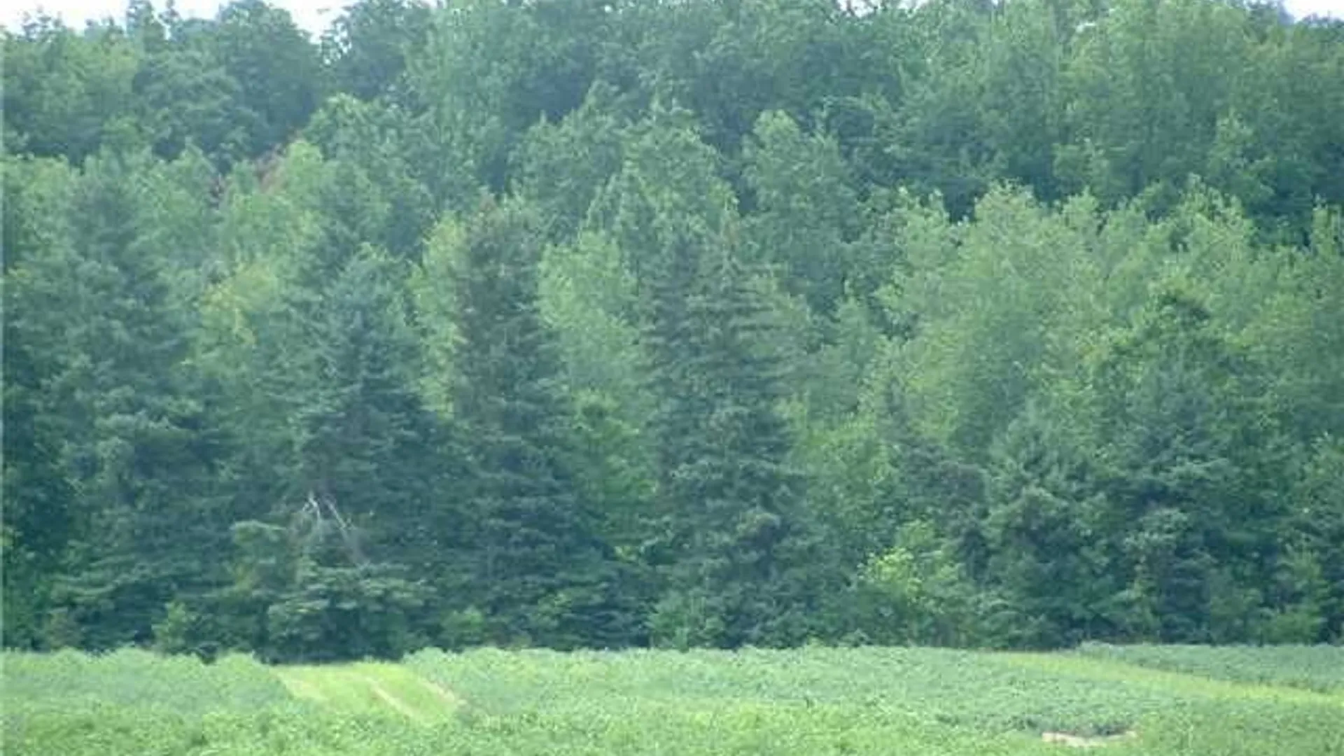 Property at 8575 Henry Clay Boulevard, Clay, NY 13041 8