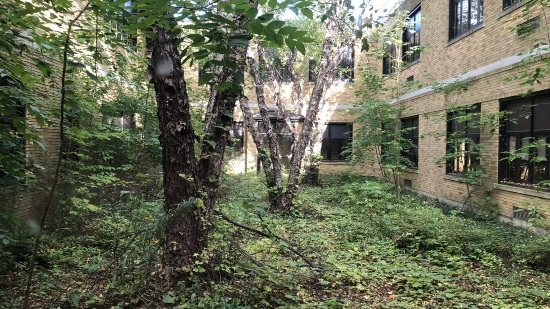 Property at 34 South Street, Amity, NY 14813 32