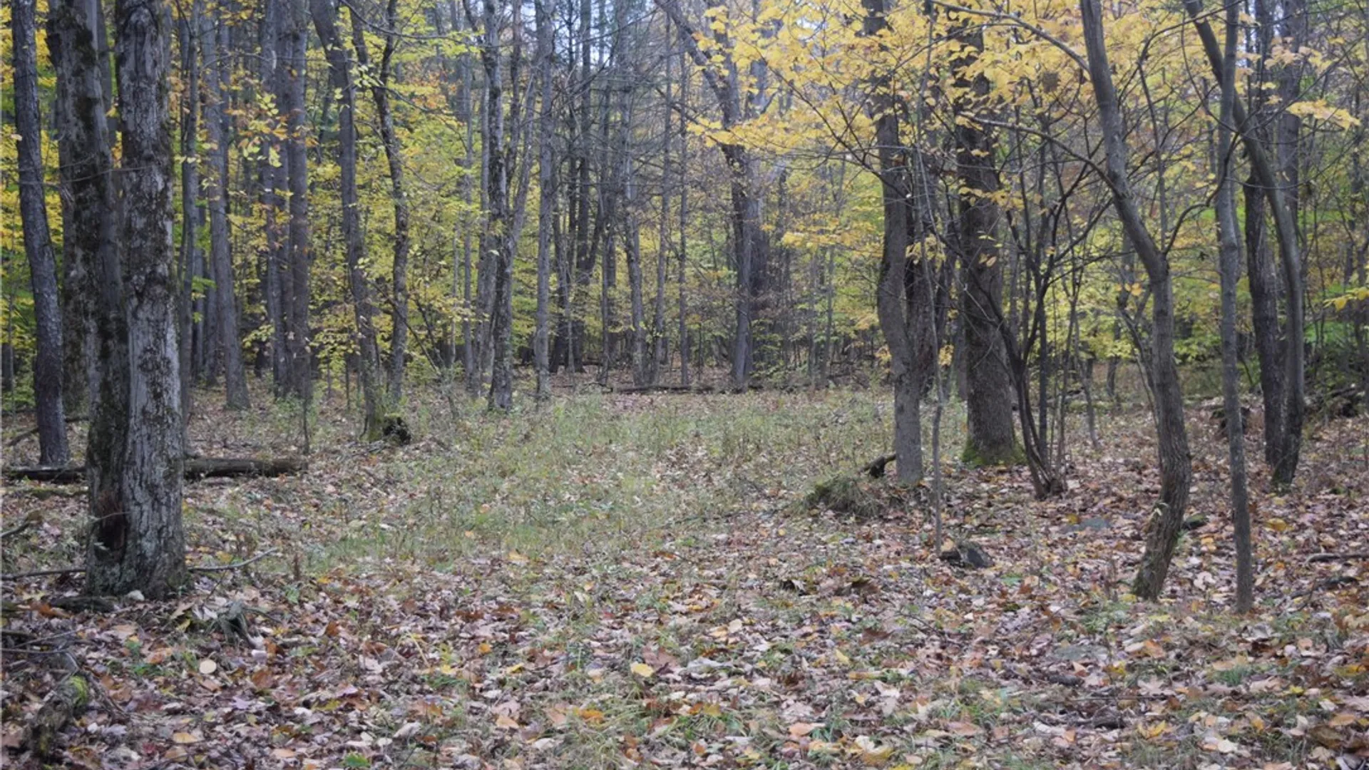 Property at 0 Crandall Rd & County Rd 37, Guilford, NY 13780 2