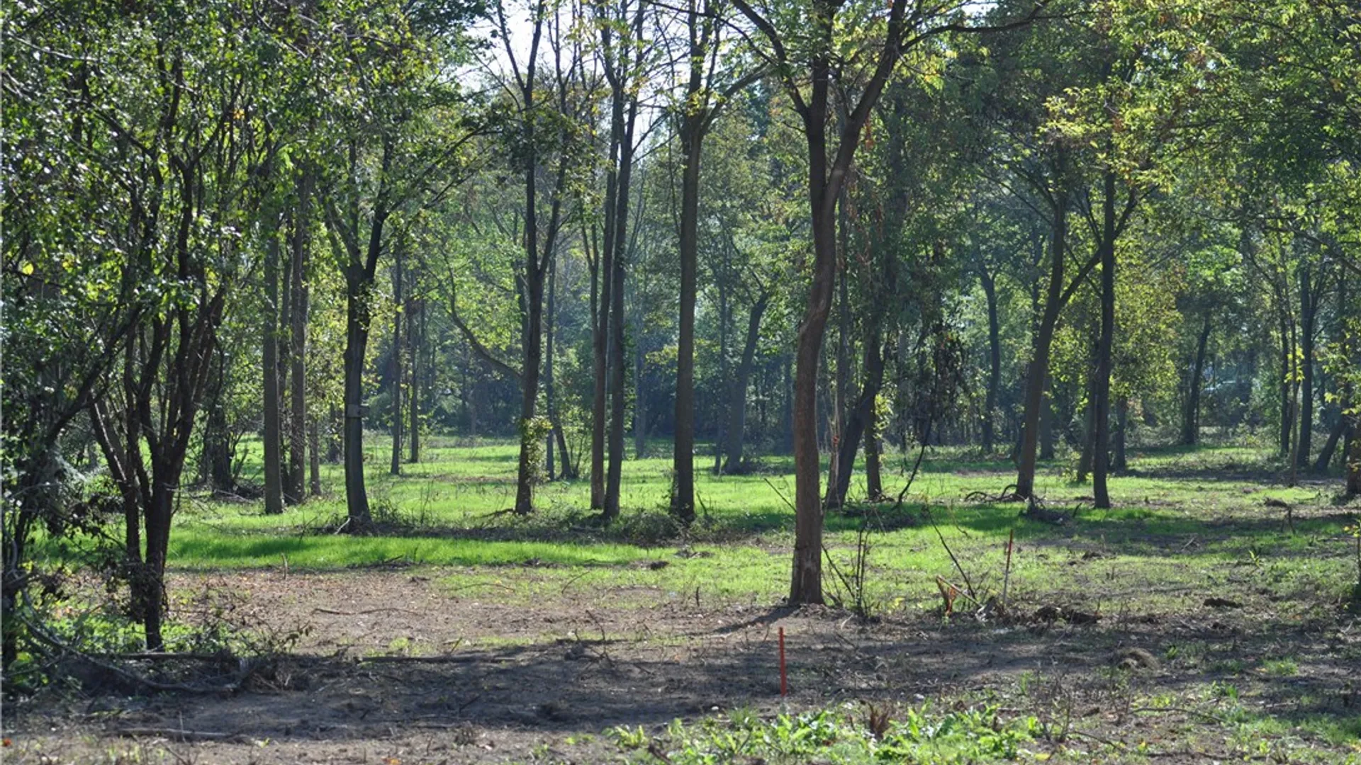 Property at 1 Geneva Street, Milo, NY 14527 3