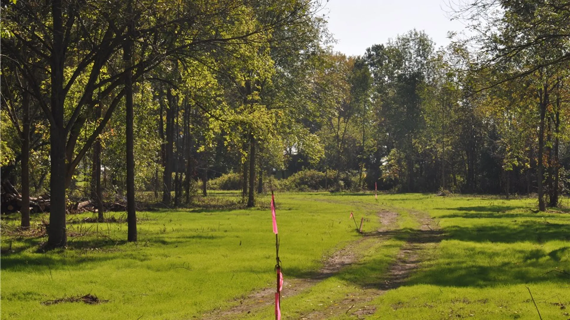 Property at 1 Geneva Street, Milo, NY 14527 4