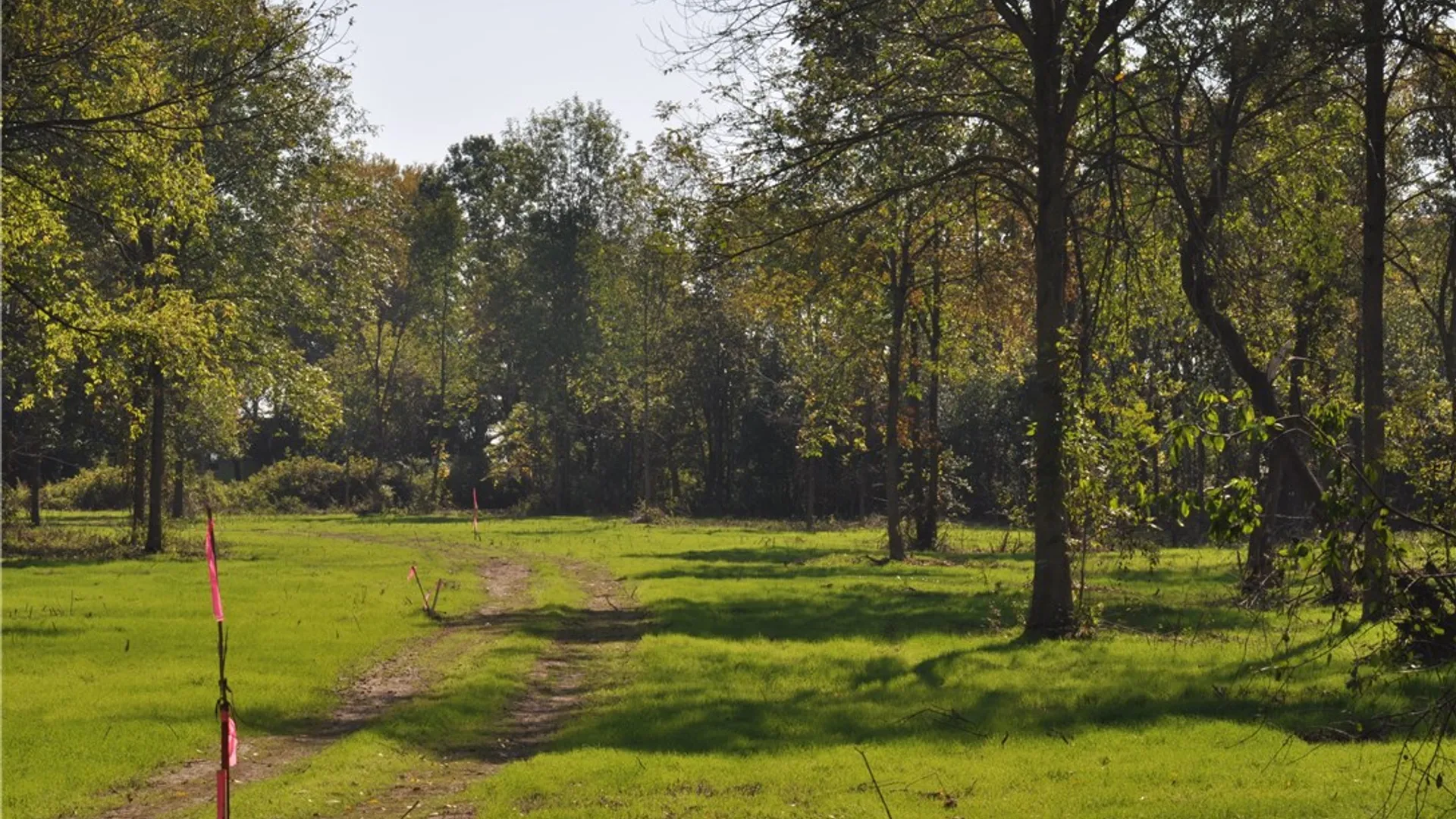 Property at 1 Geneva Street, Milo, NY 14527 5