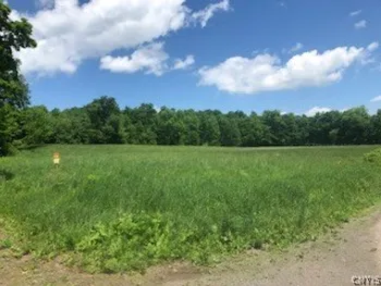 Property at 10277 Chesebro Road, Brookfield, NY 13485
