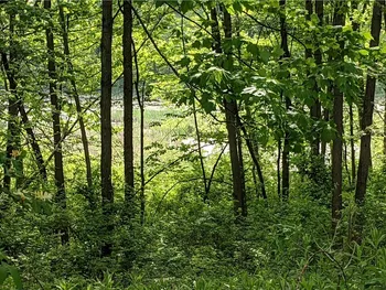 0 Westland Drive, Eaton, NY 13310