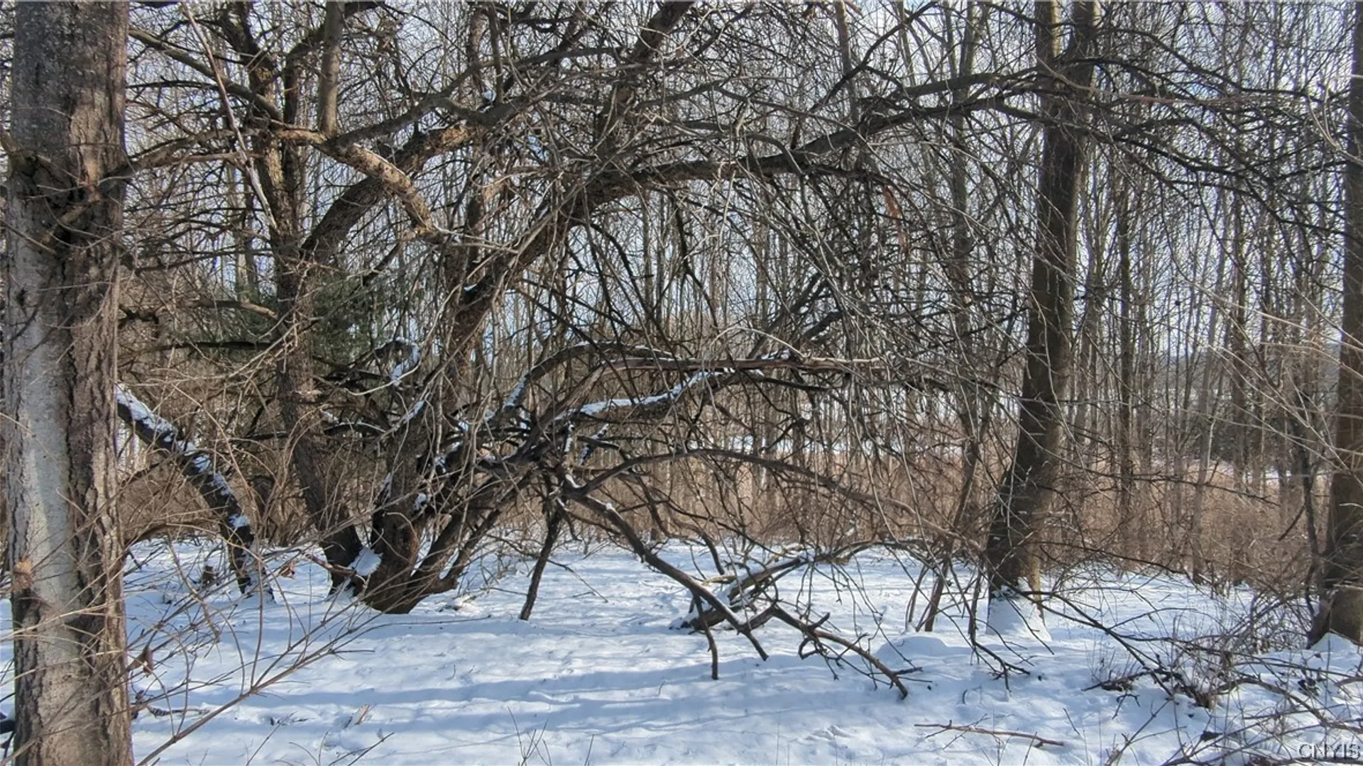 Property at 0 Westland Drive, Eaton, NY 13310 5